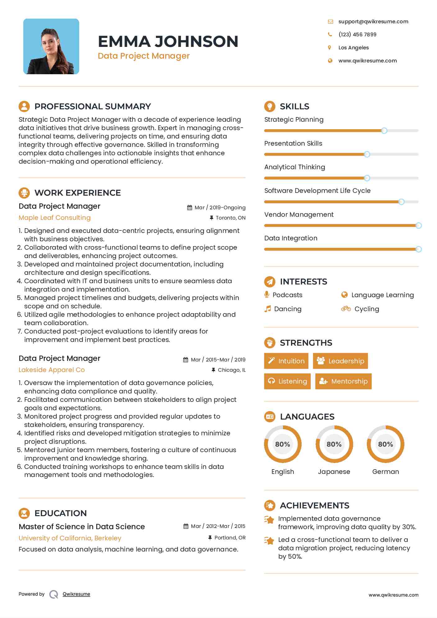 Data Project Manager Resume Example