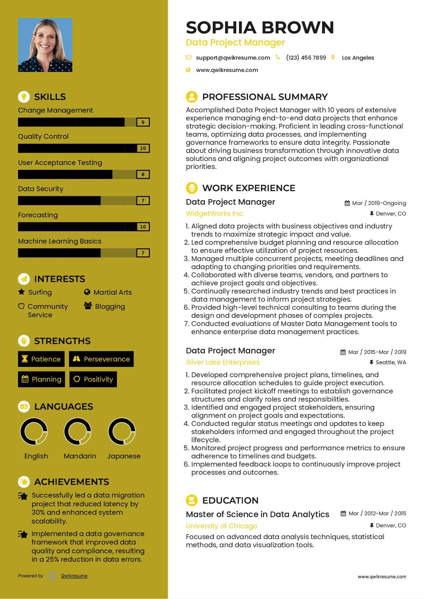 Data Project Manager Resume Sample