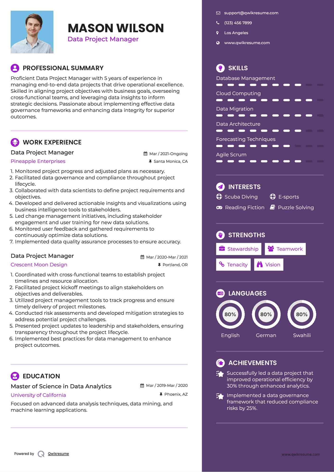 Data Project Manager Resume Example