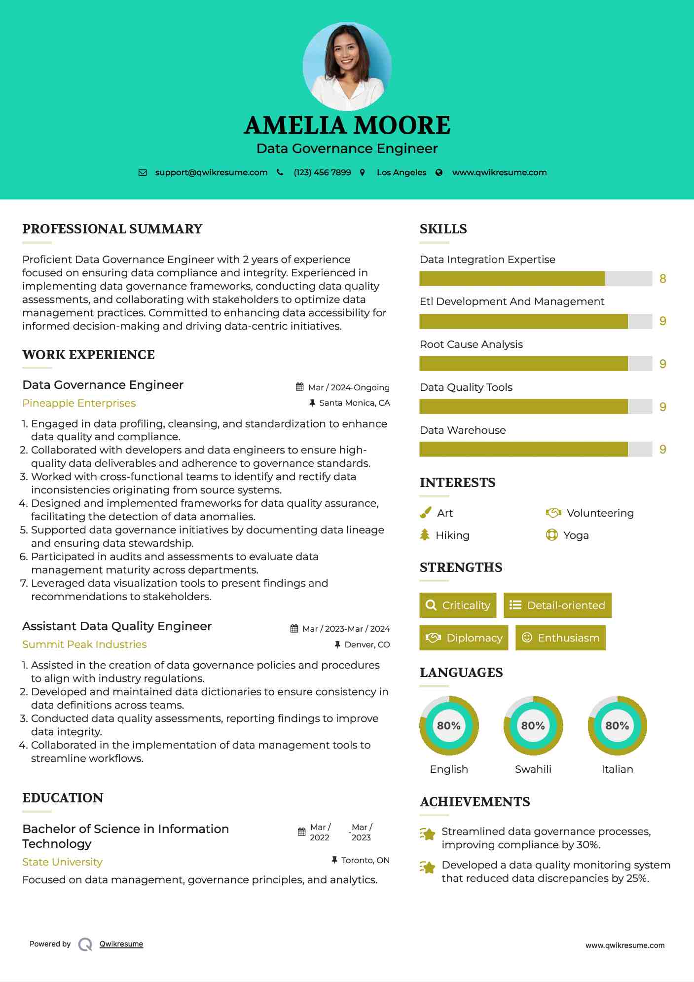 Data Governance Engineer Resume Model