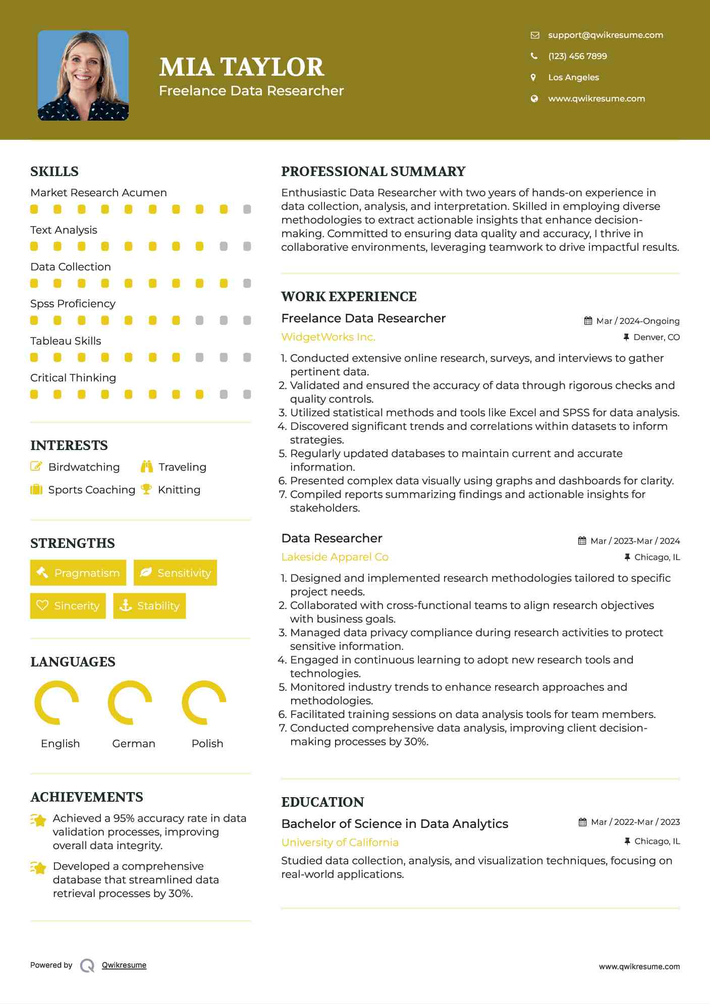 Freelance Data Researcher Resume Template