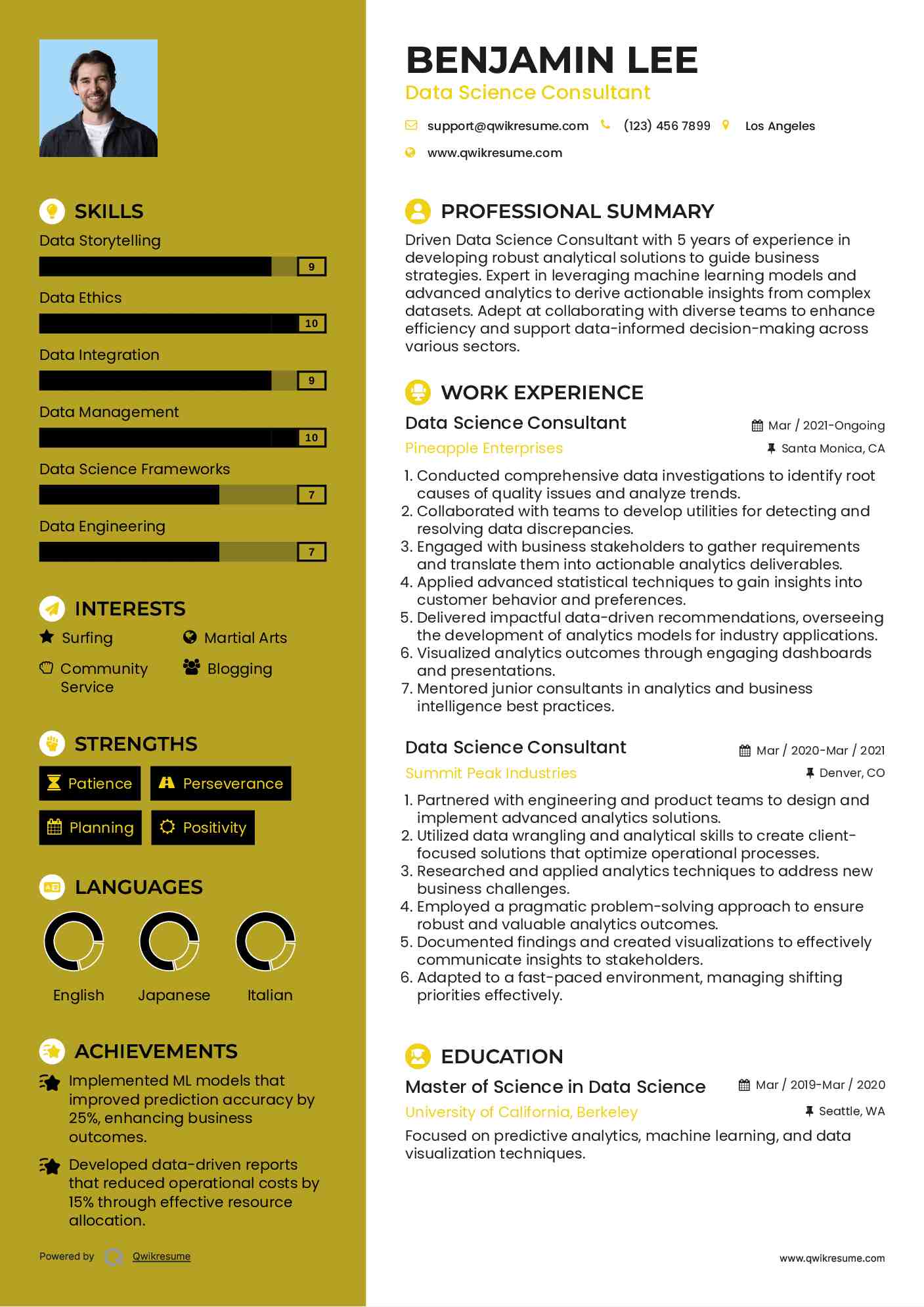 Data Science Consultant Resume Model