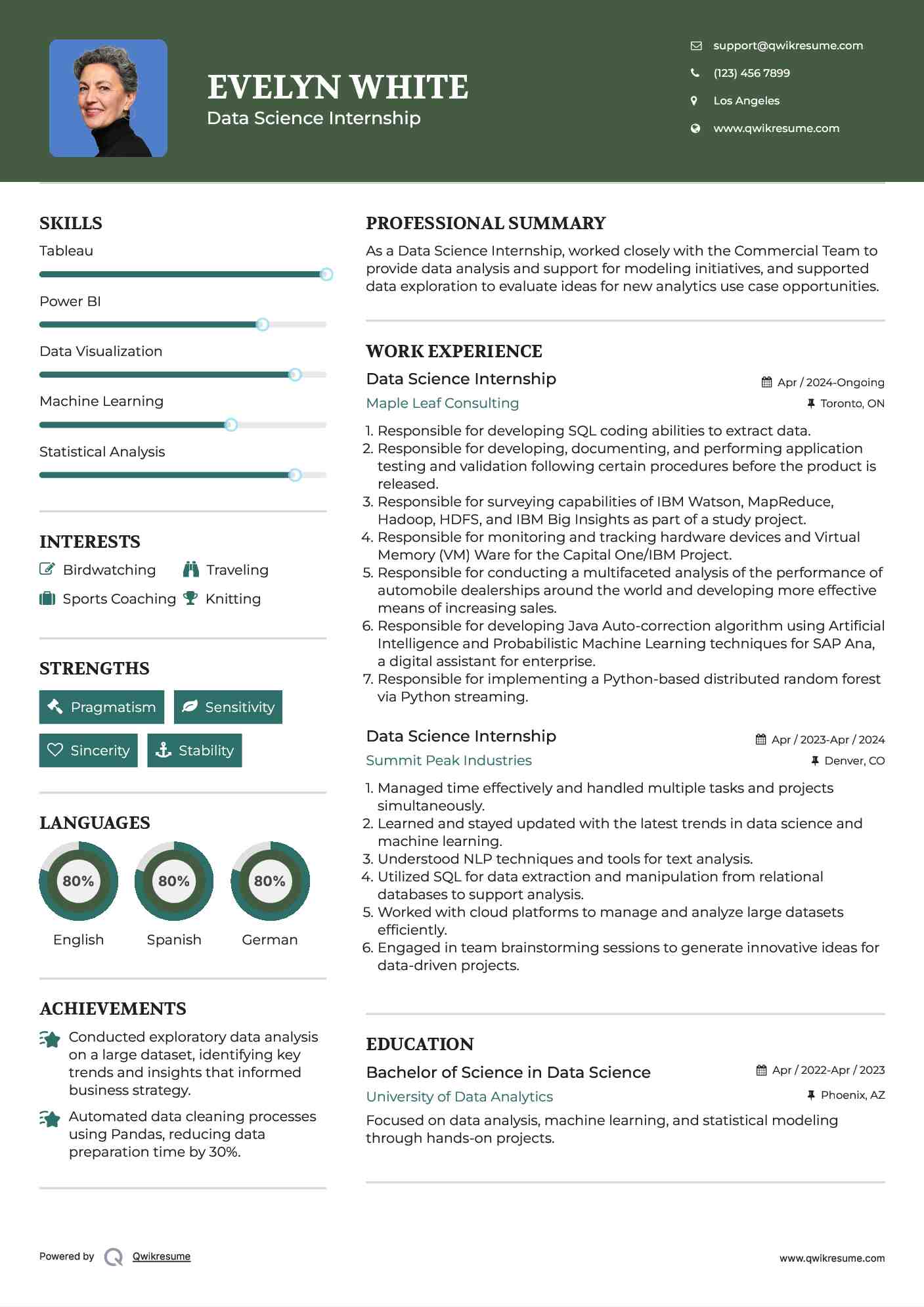 Data Science Internship Resume Model