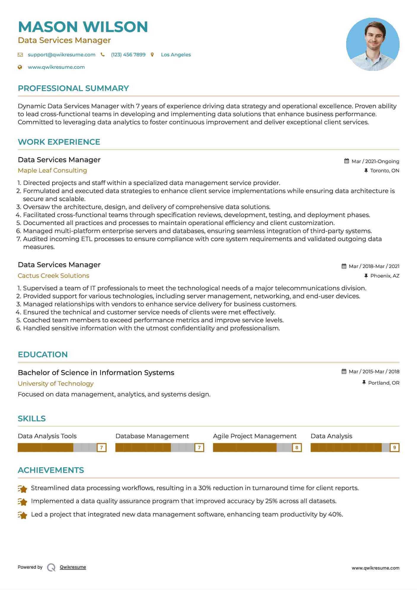 Data Services Manager Resume Model