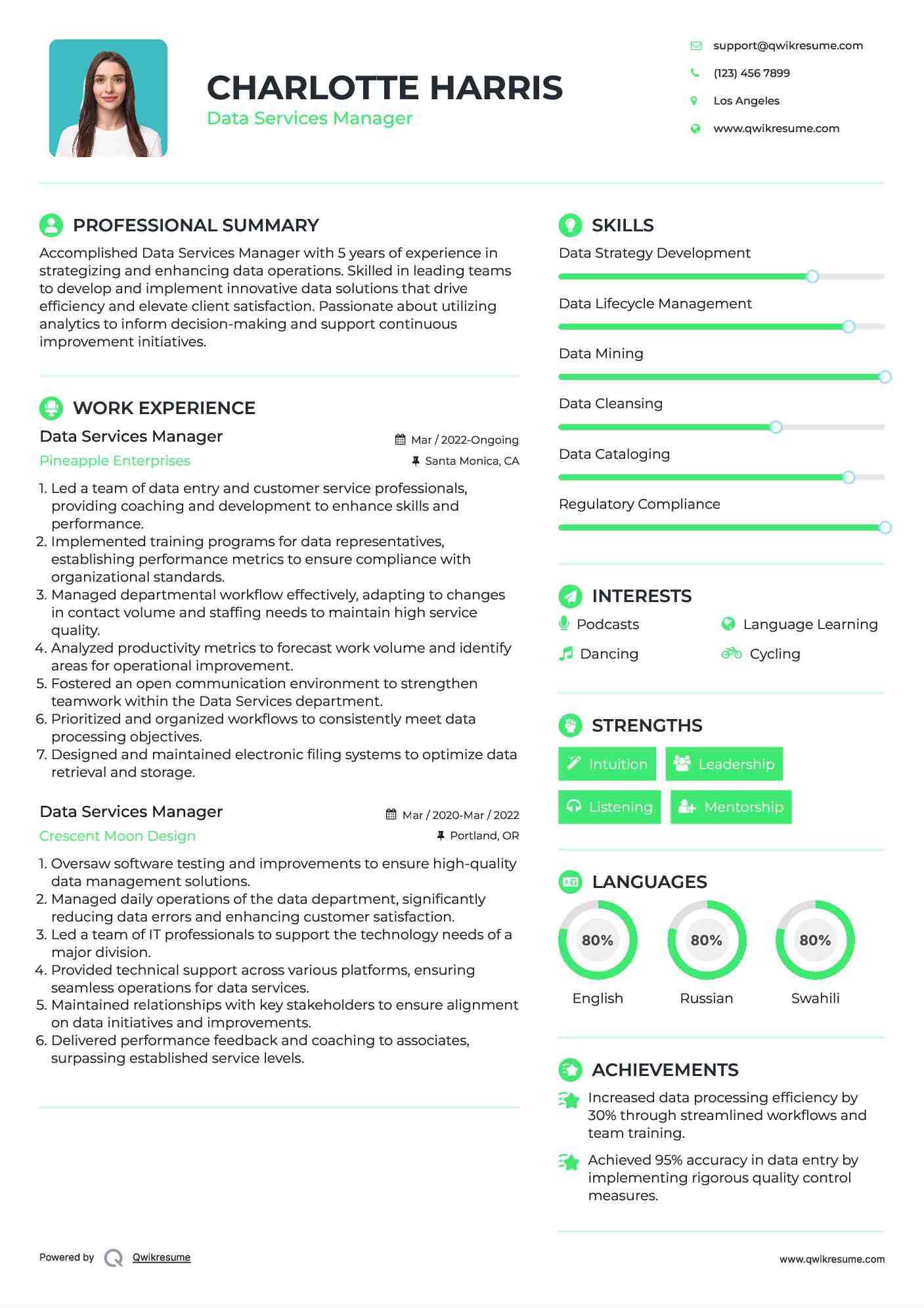 Data Services Manager Resume Model