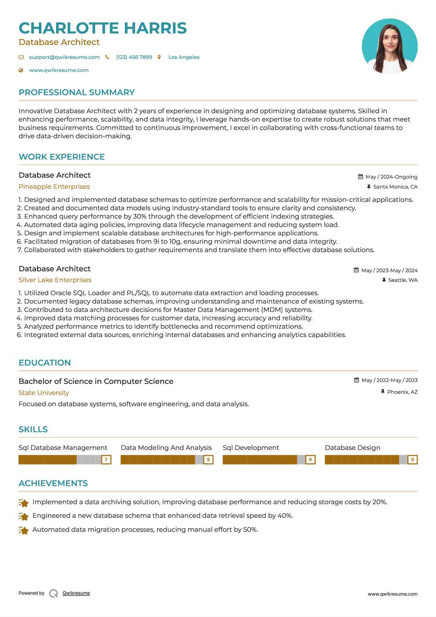 Database Architect Resume Example