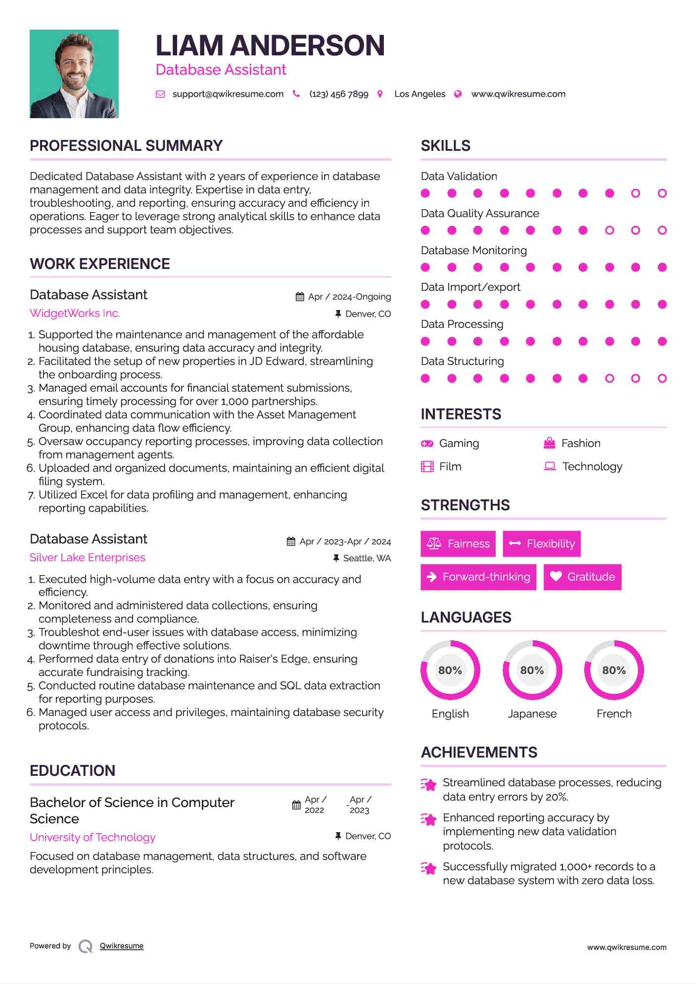 Database Assistant Resume Model