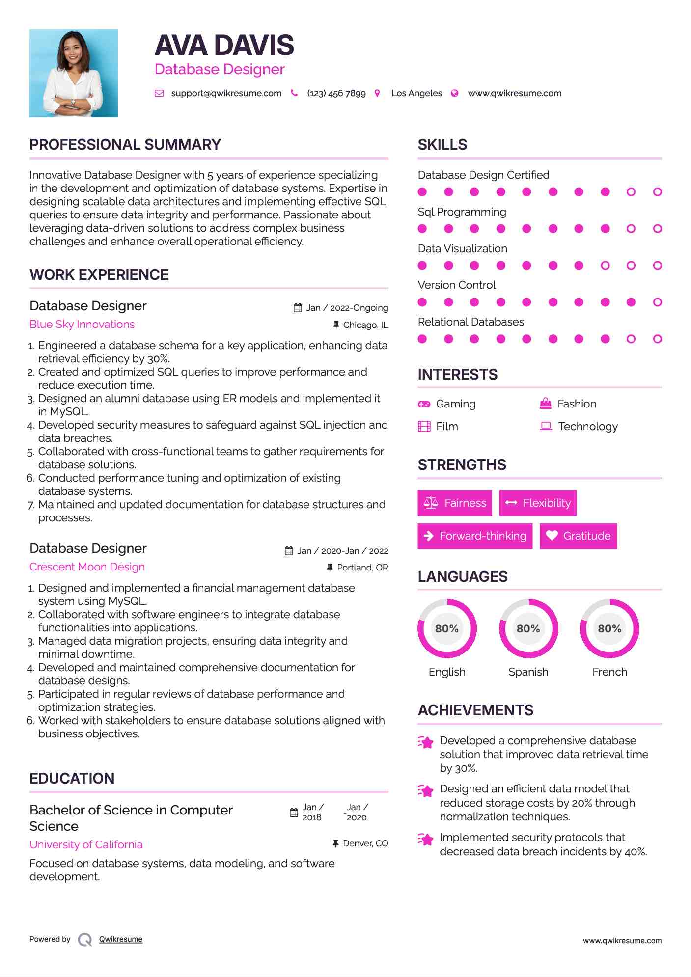 Database Designer Resume Example