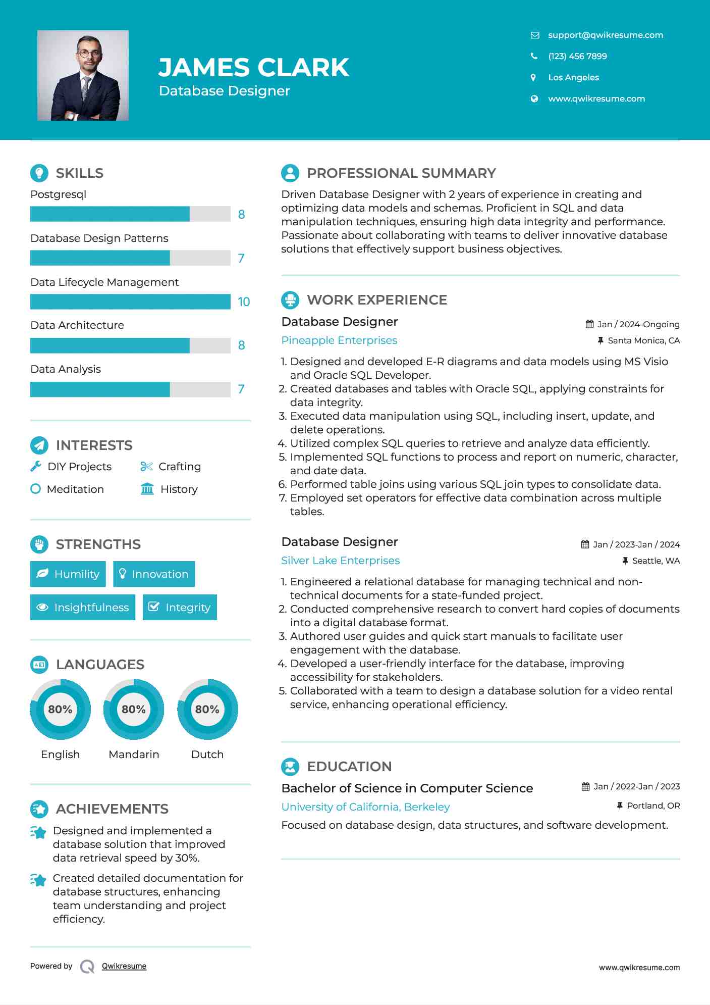 Database Designer Resume Template