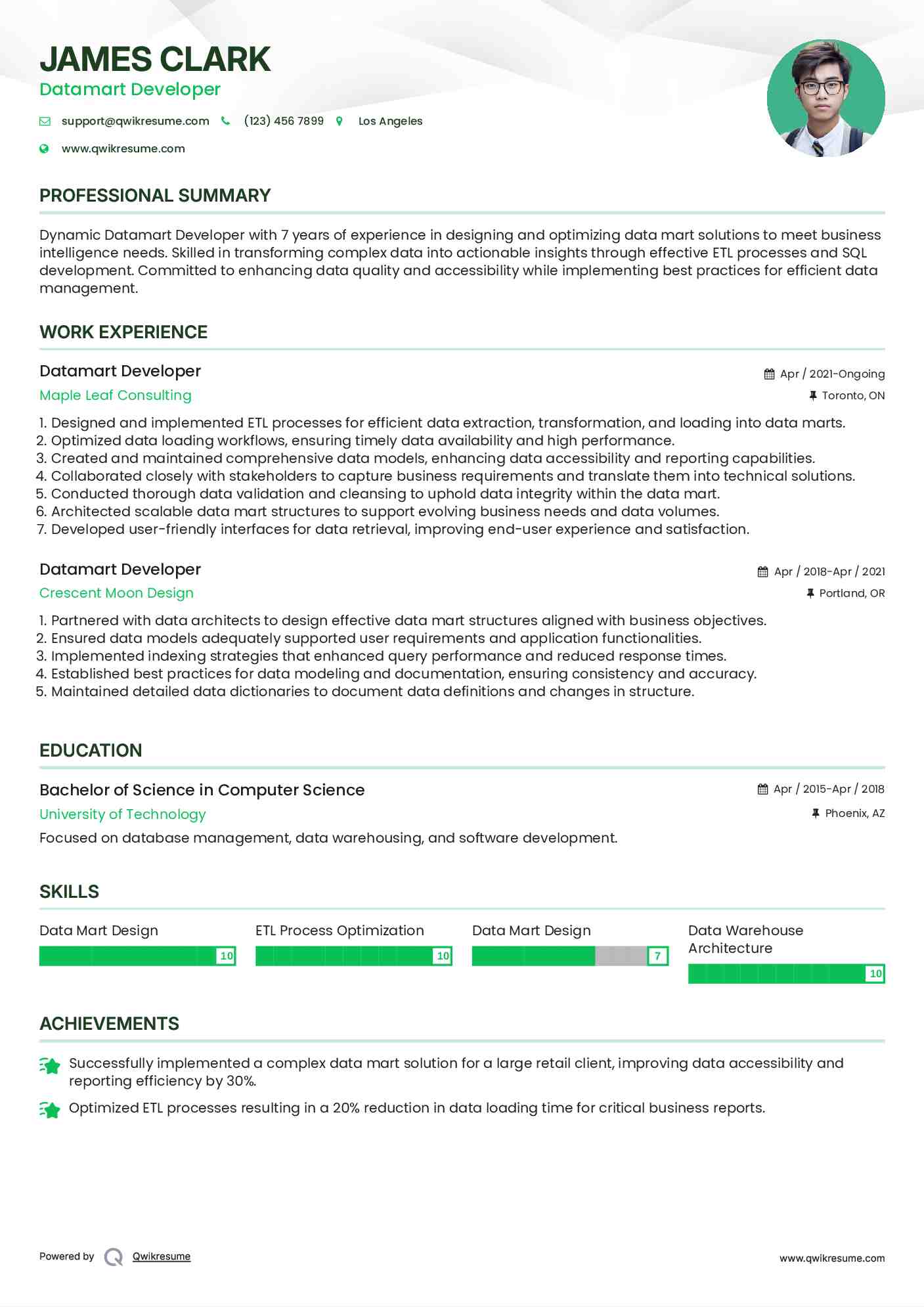 Datamart Developer Resume Sample