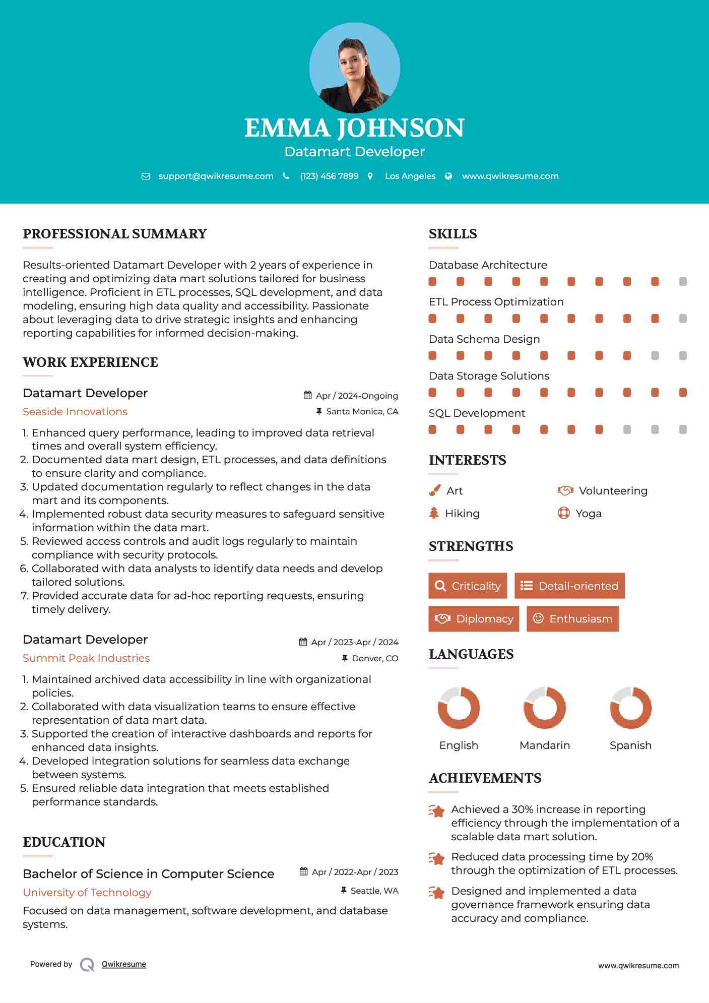 Datamart Developer Resume Example
