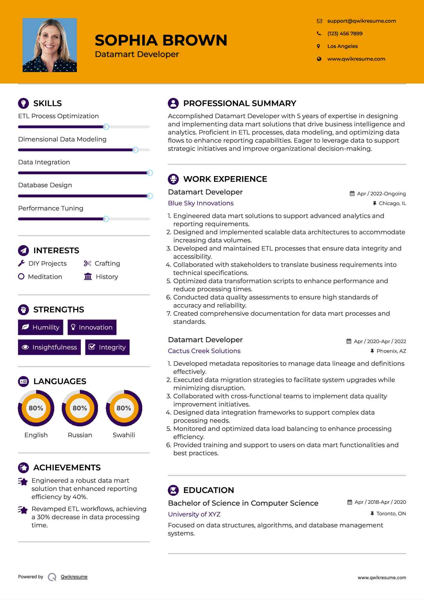 Datamart Developer Resume Sample