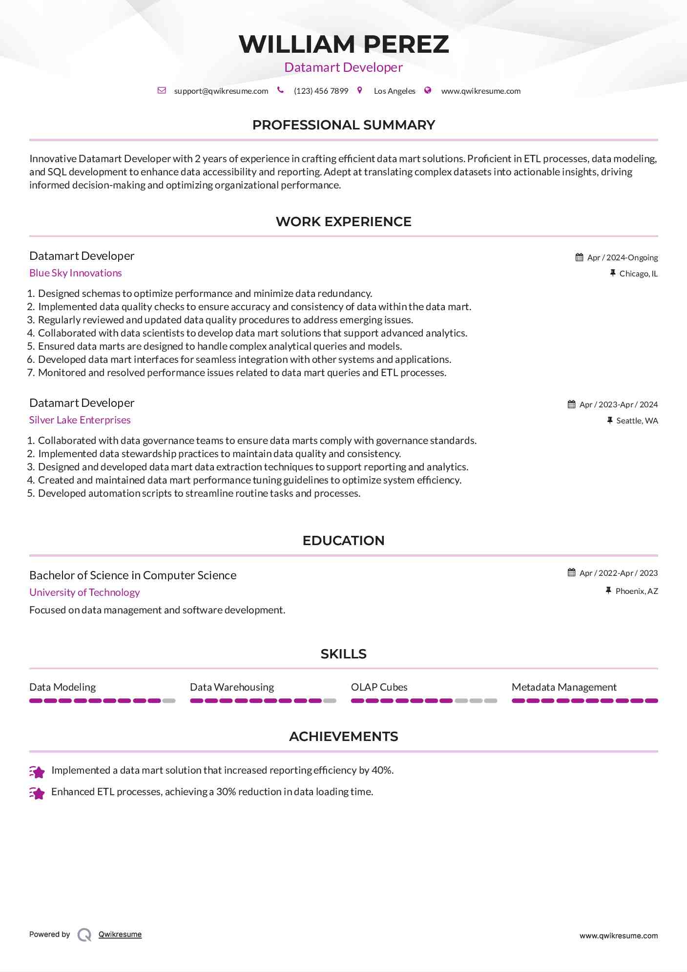 Datamart Developer Resume Model
