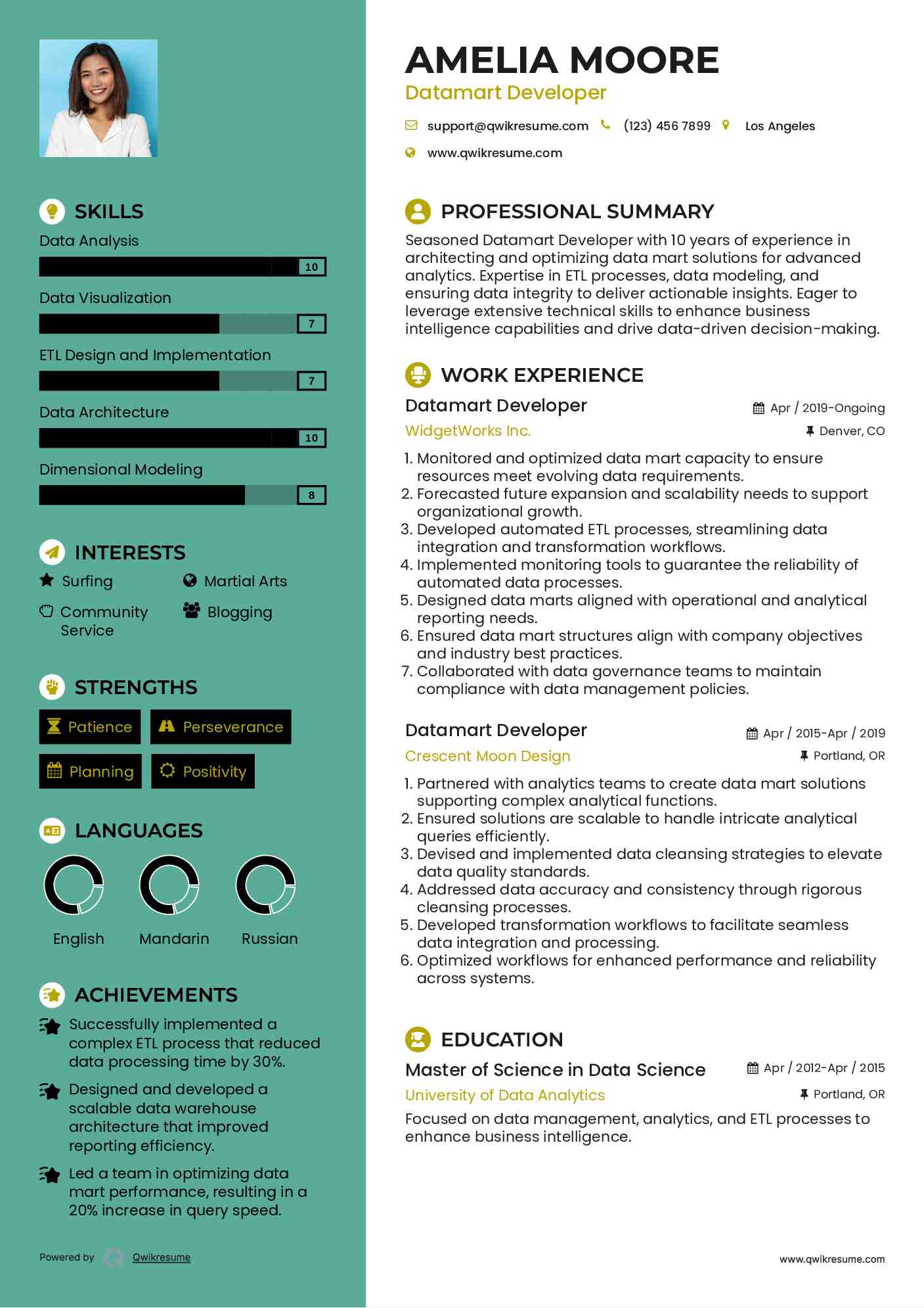 Datamart Developer Resume Example