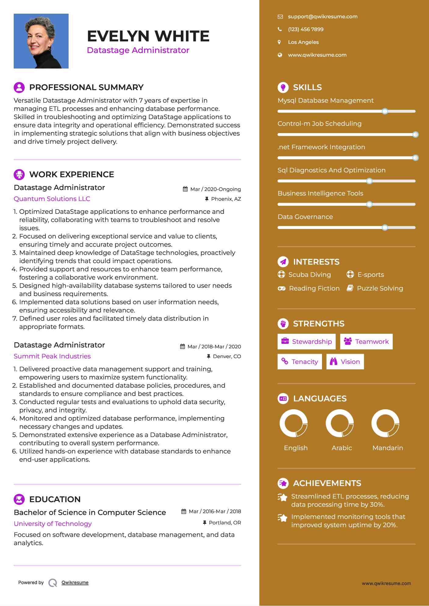 Datastage Administrator Resume Sample