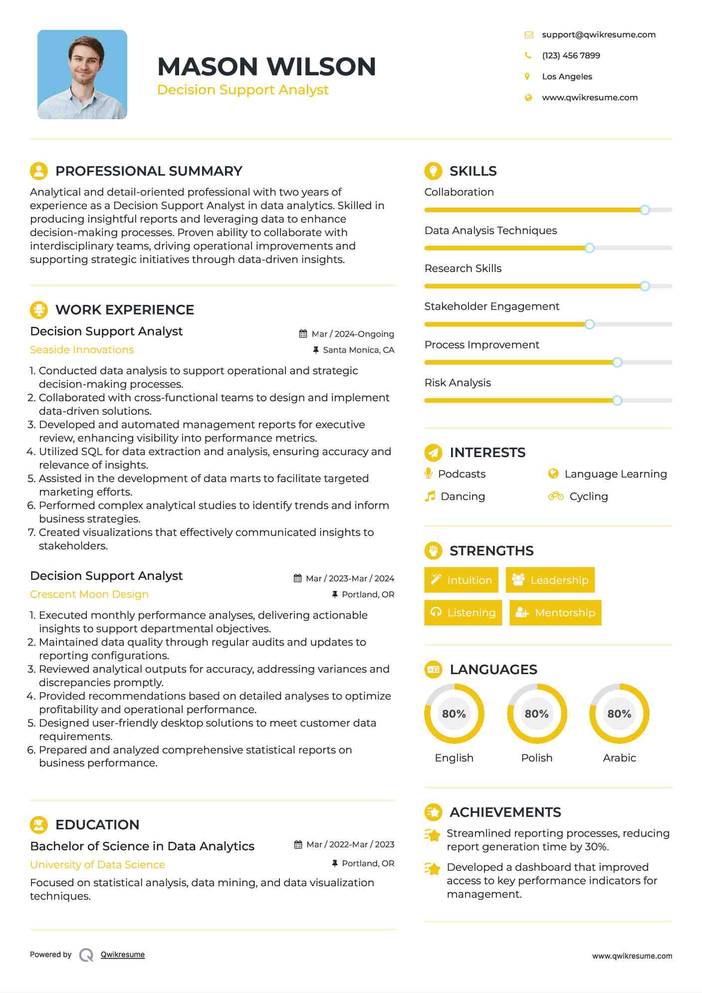 Decision Support Analyst Resume Format