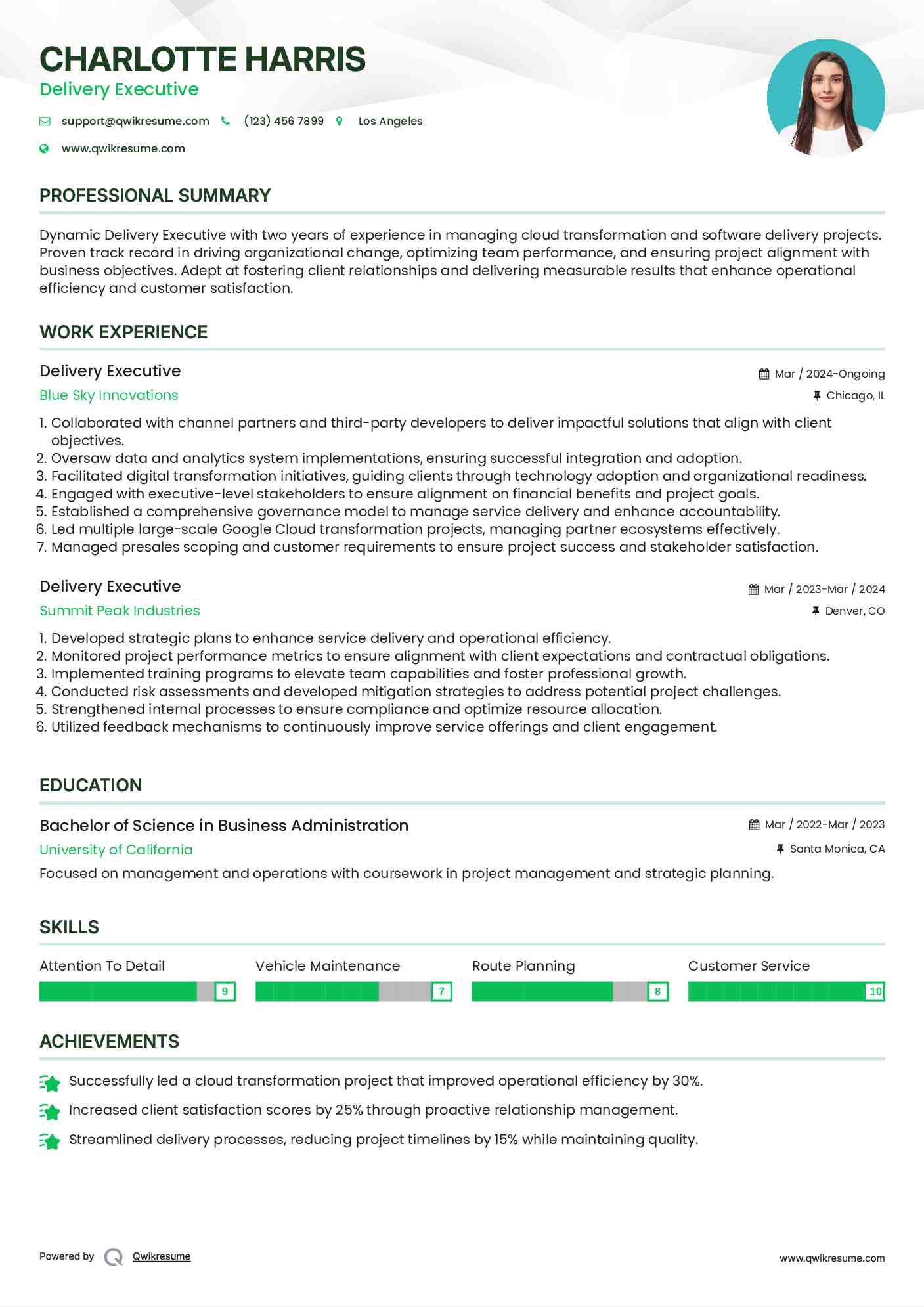 Delivery Executive Resume Model