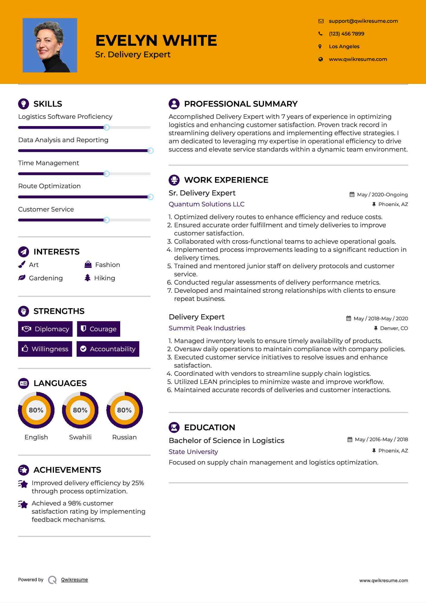 Sr. Delivery Expert Resume Template