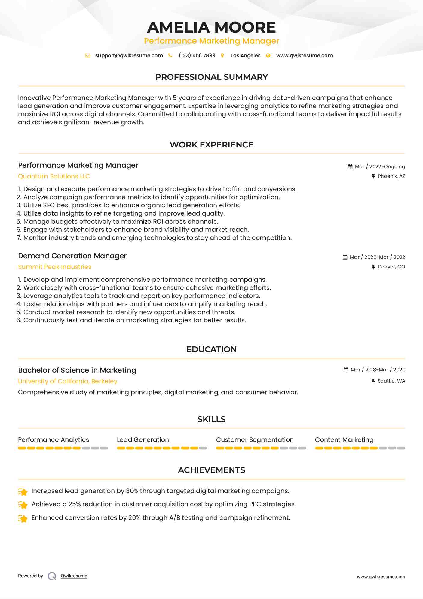 Performance Marketing Manager Resume Template