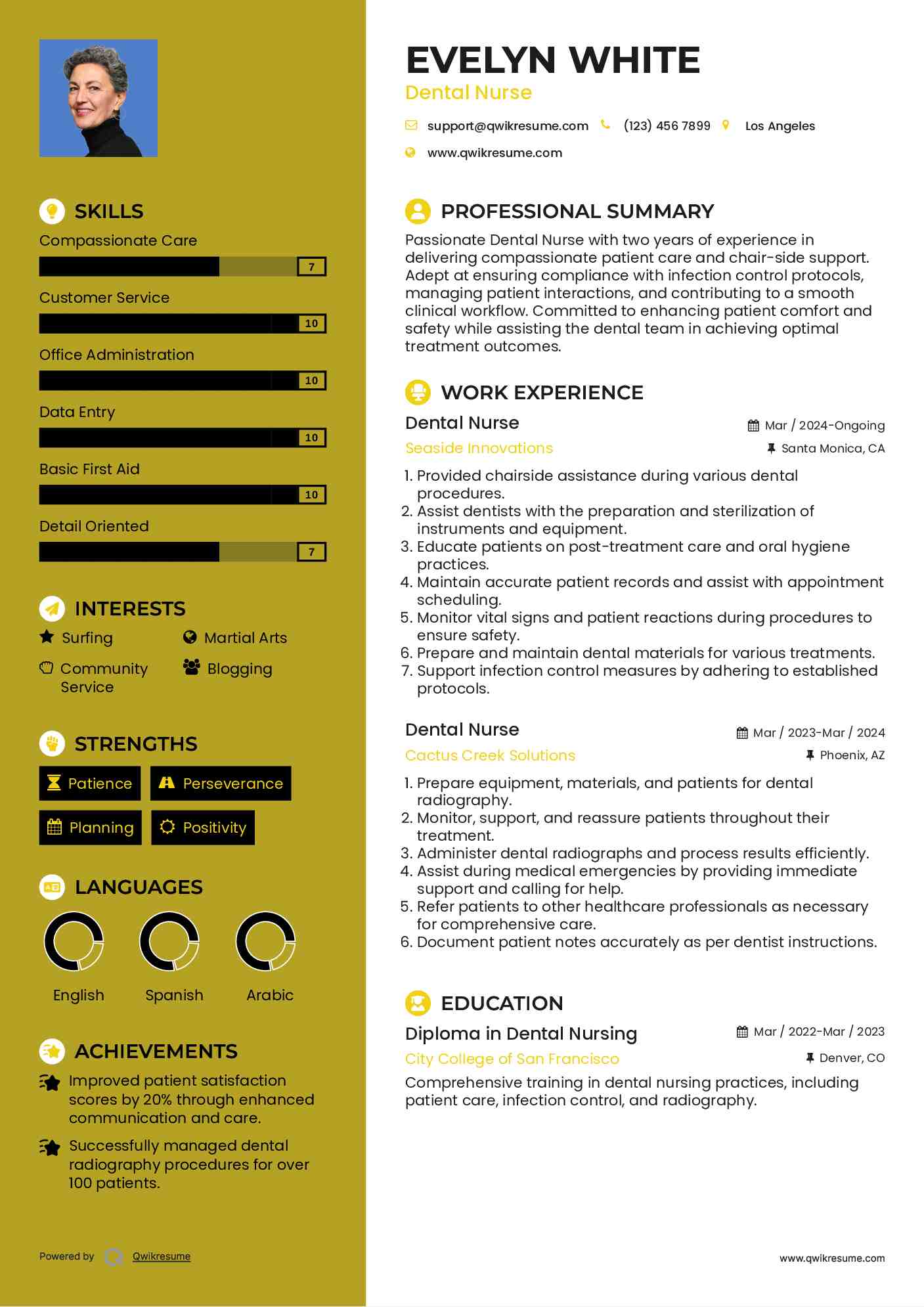 Dental Nurse Resume Template