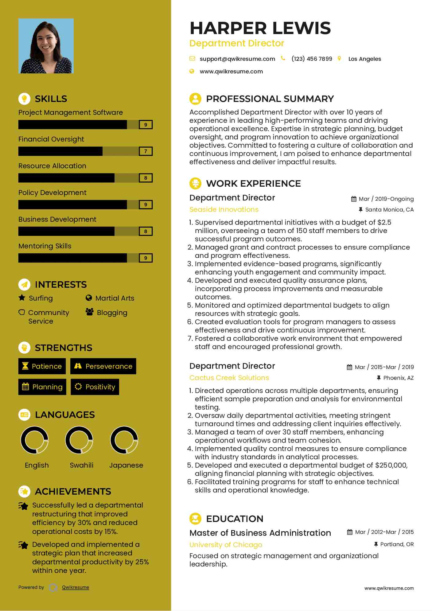 Department Director Resume Model