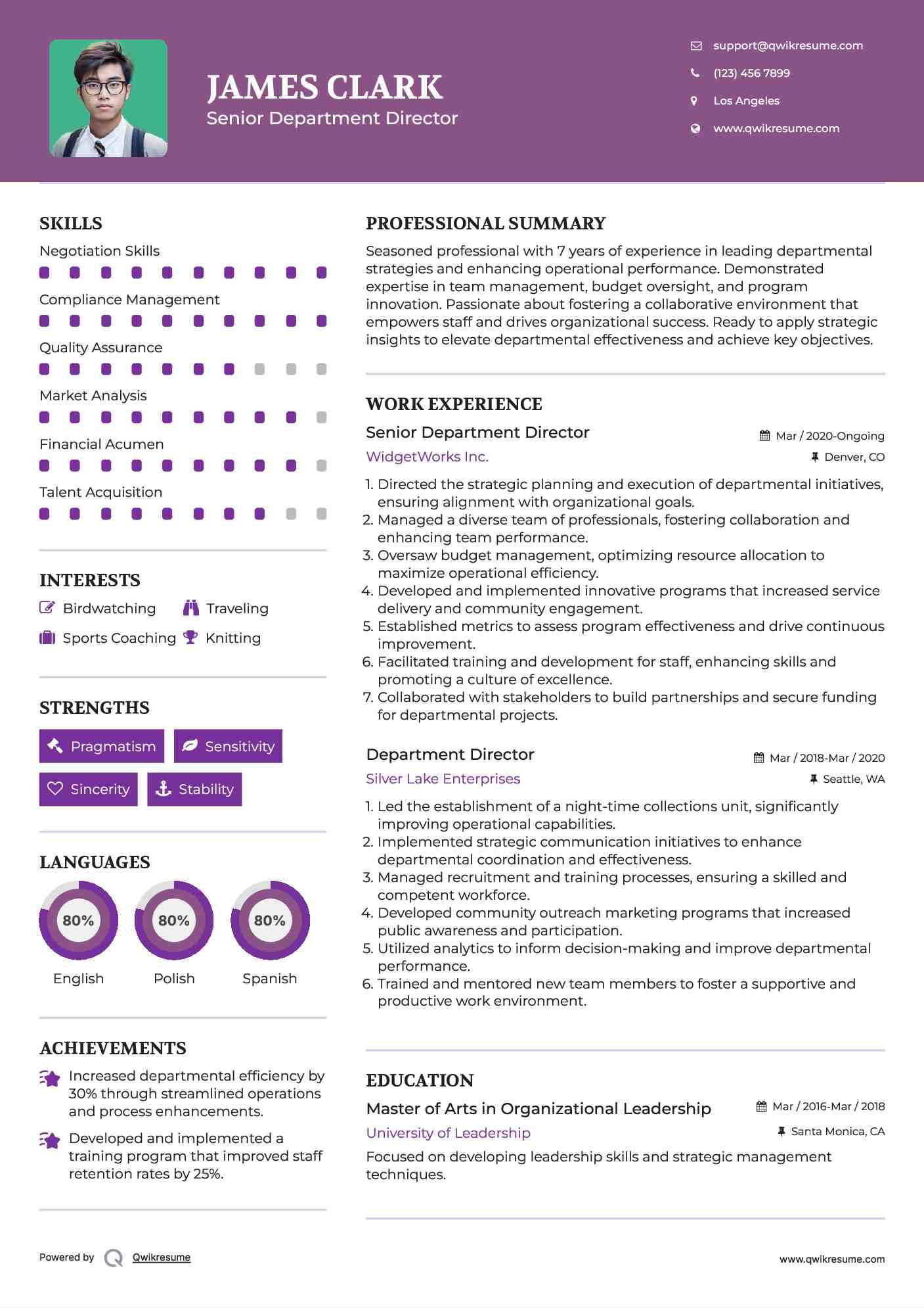 Senior Department Director Resume Model