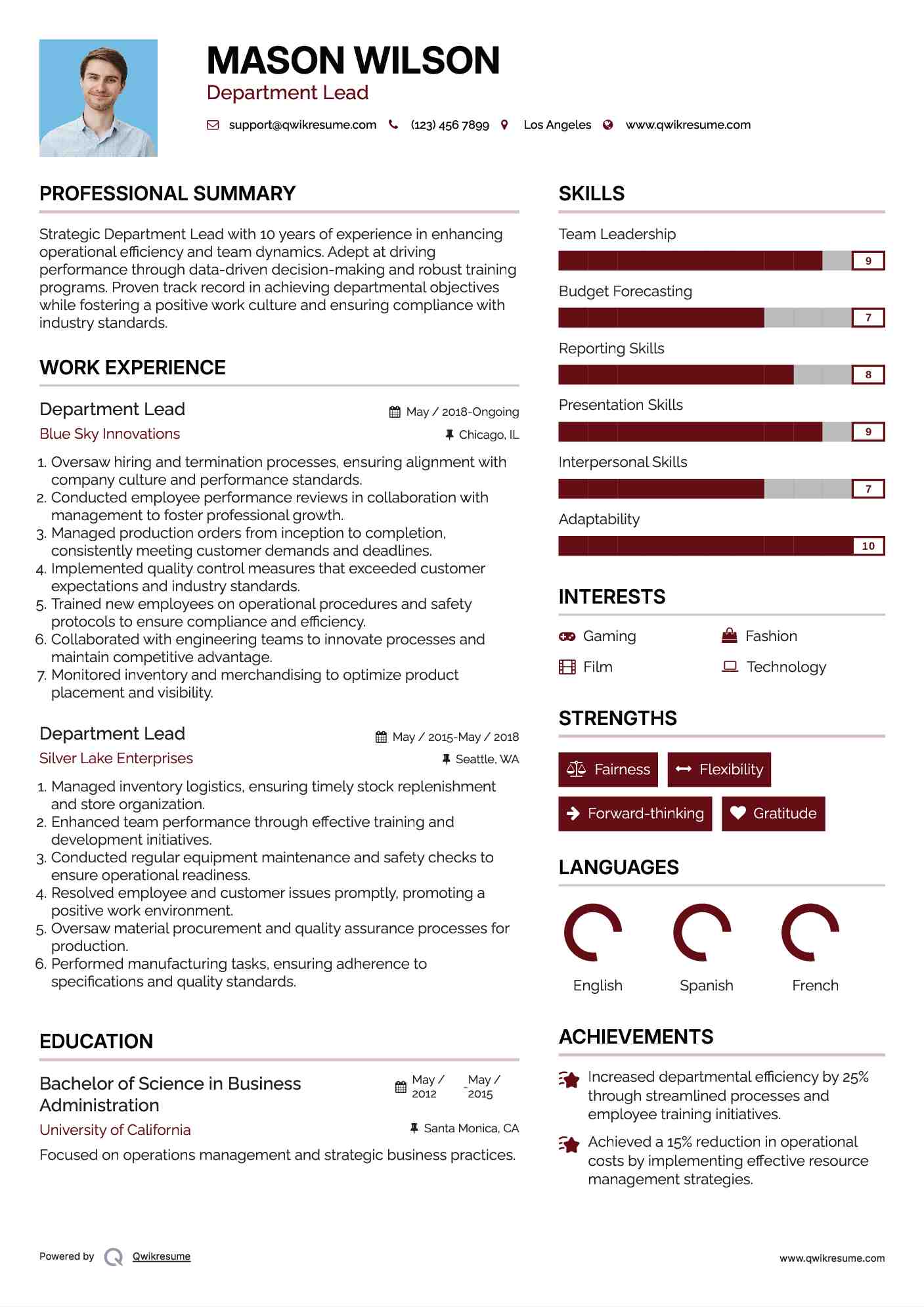 Department Lead Resume Model