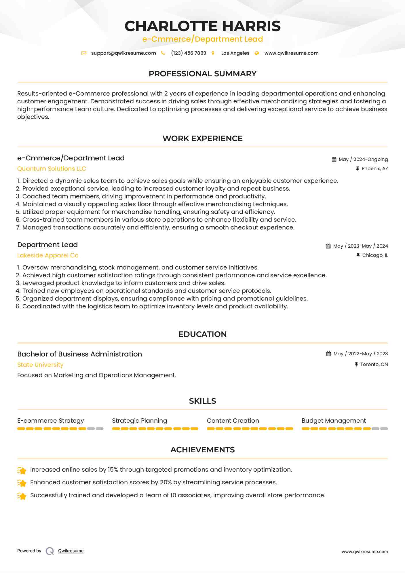 e-Cmmerce/Department Lead Resume Sample