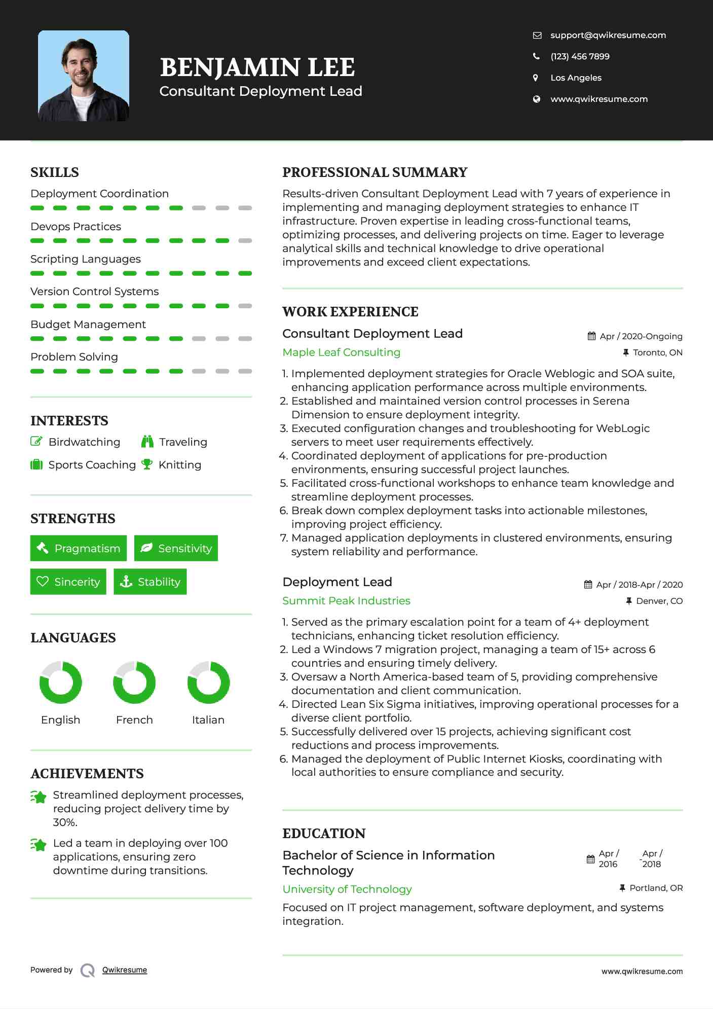 Consultant Deployment Lead Resume Template