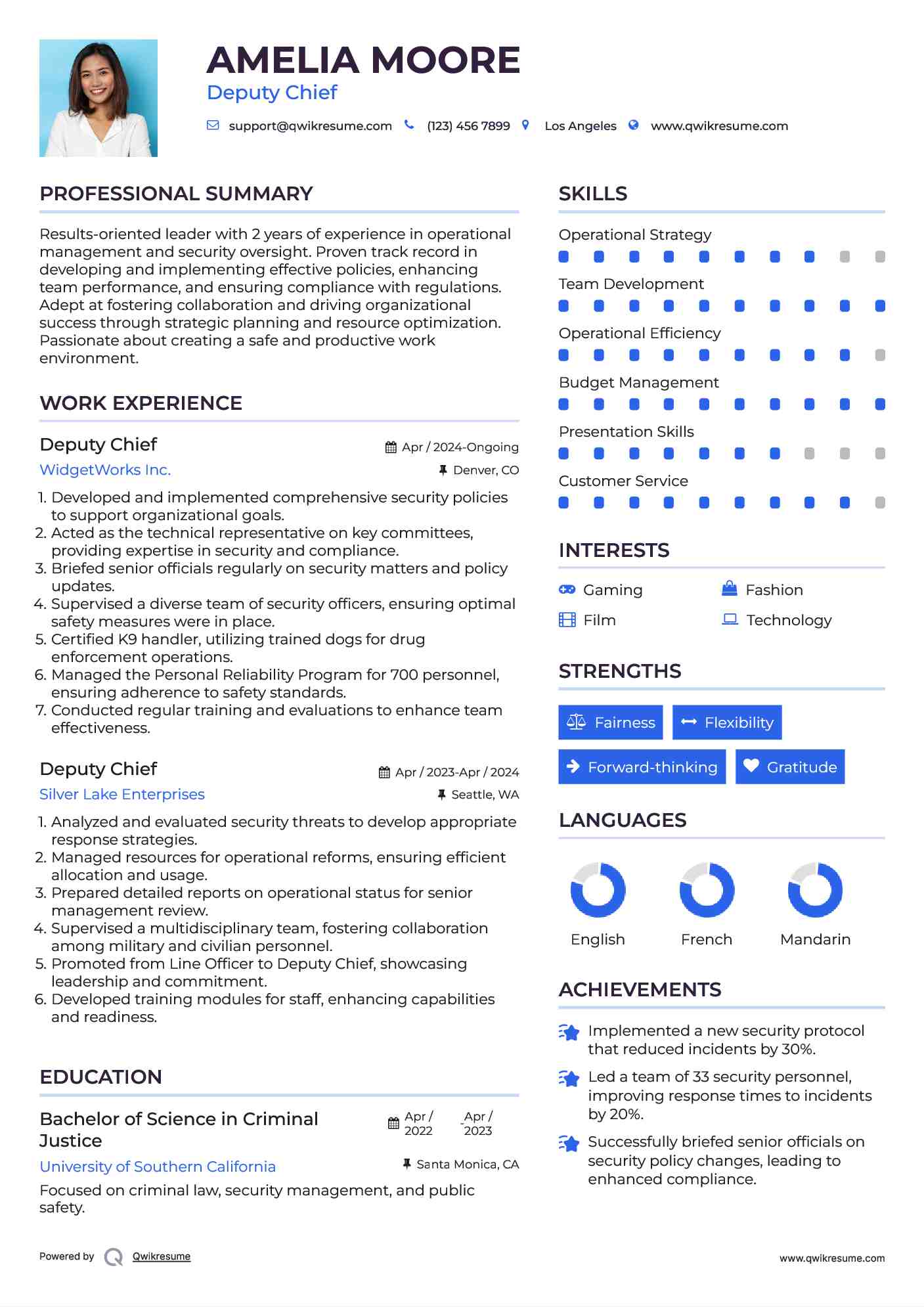 Deputy Chief Resume Sample