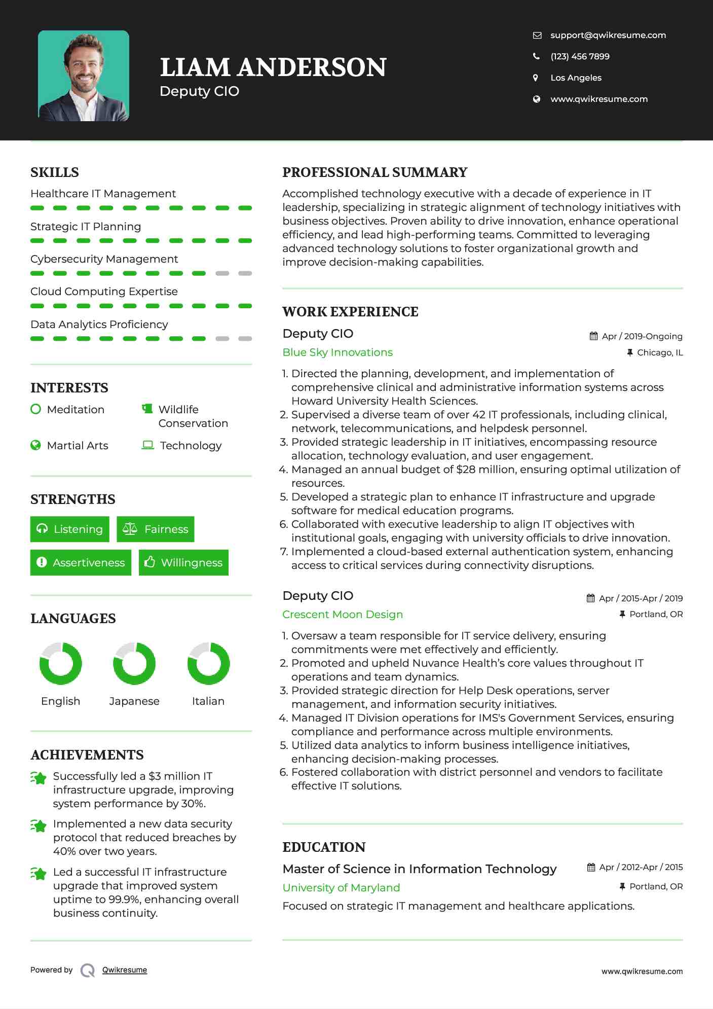 Deputy CIO Resume Model