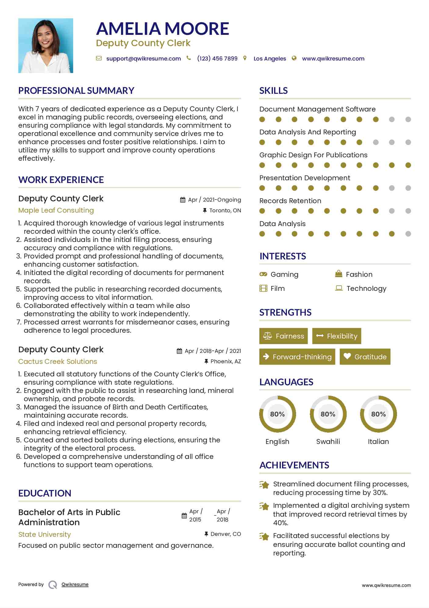 Deputy County Clerk Resume Format