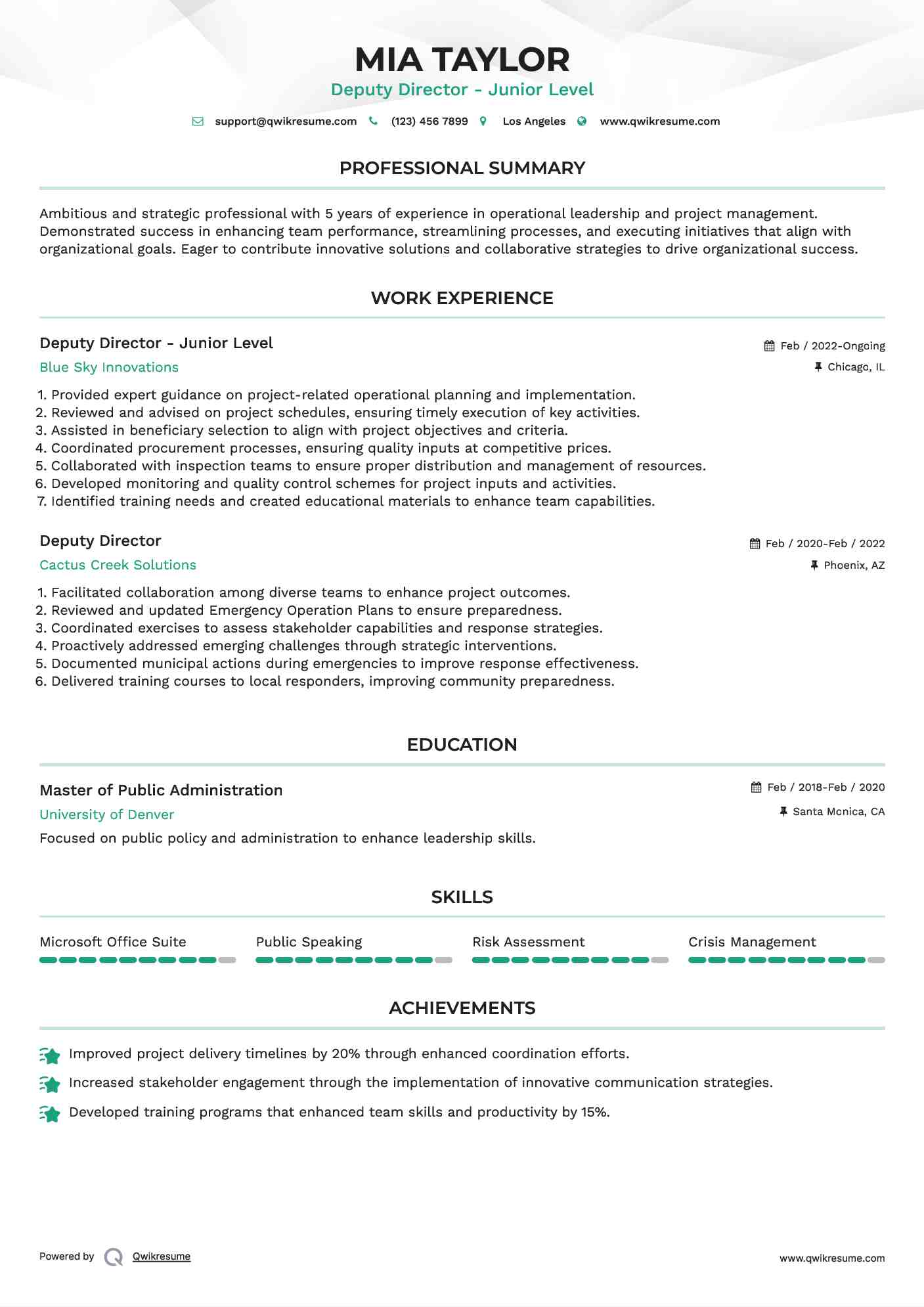 Deputy Director - Junior Level Resume Sample