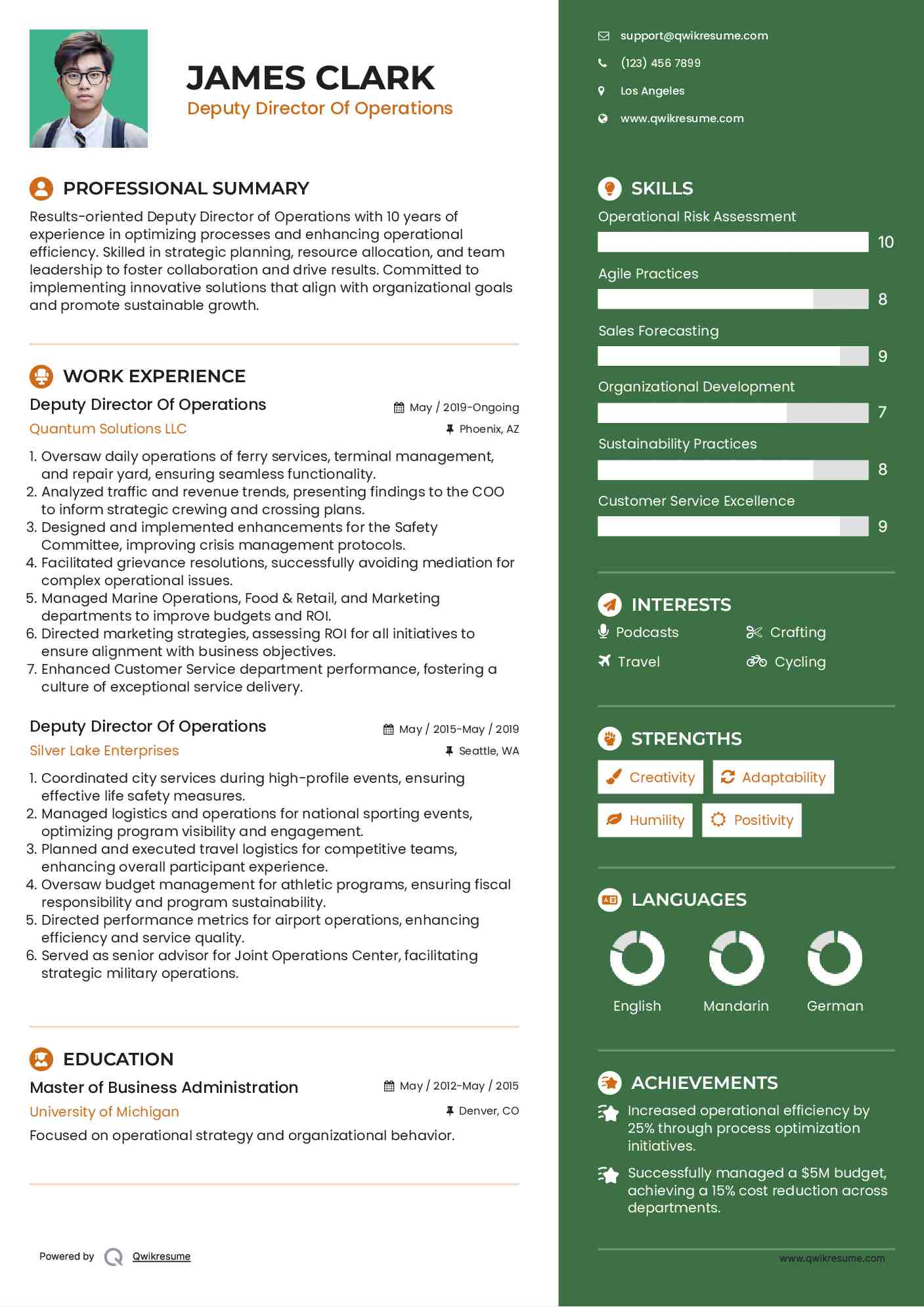 Deputy Director Of Operations Resume Sample