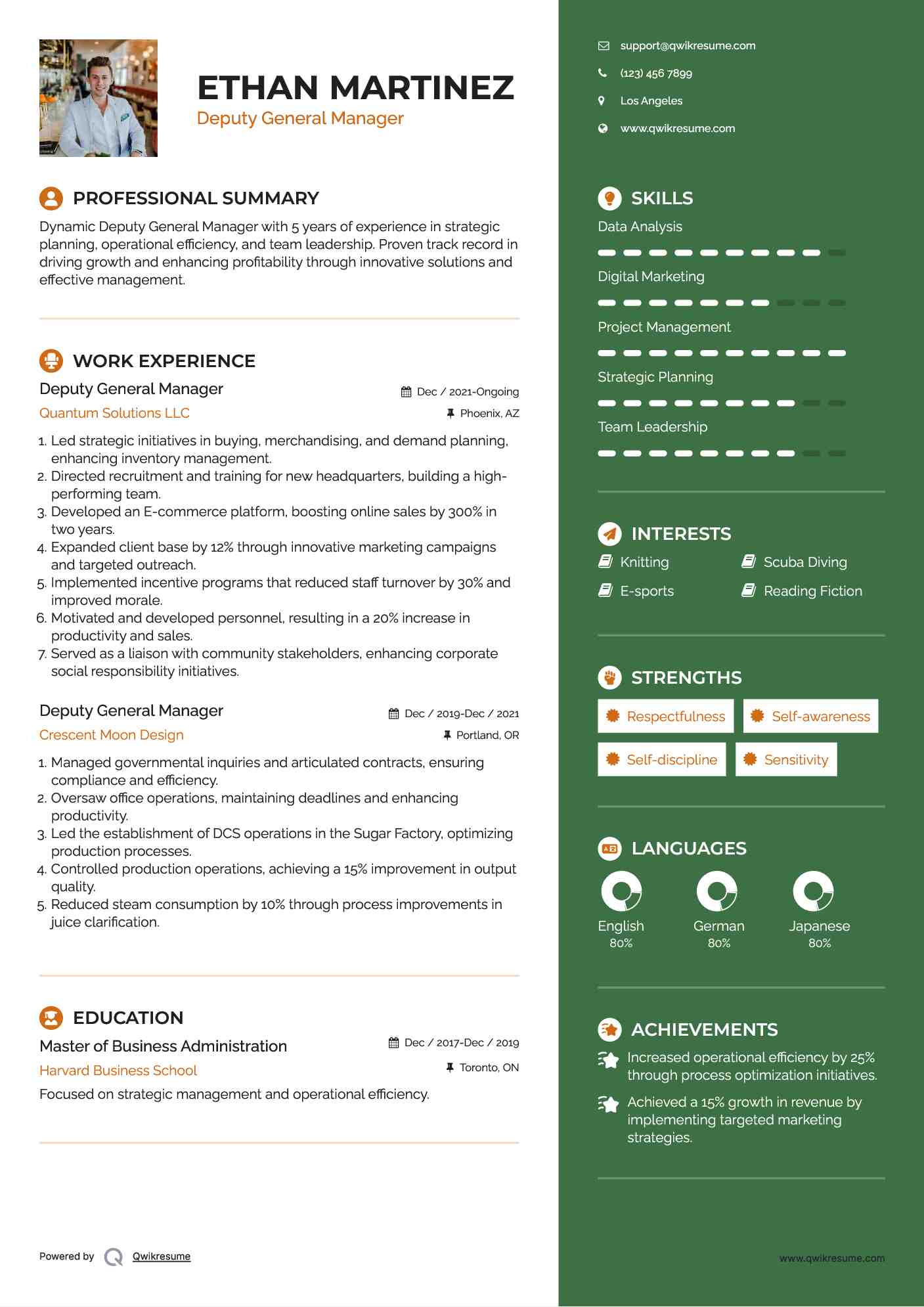 Deputy General Manager Resume Template