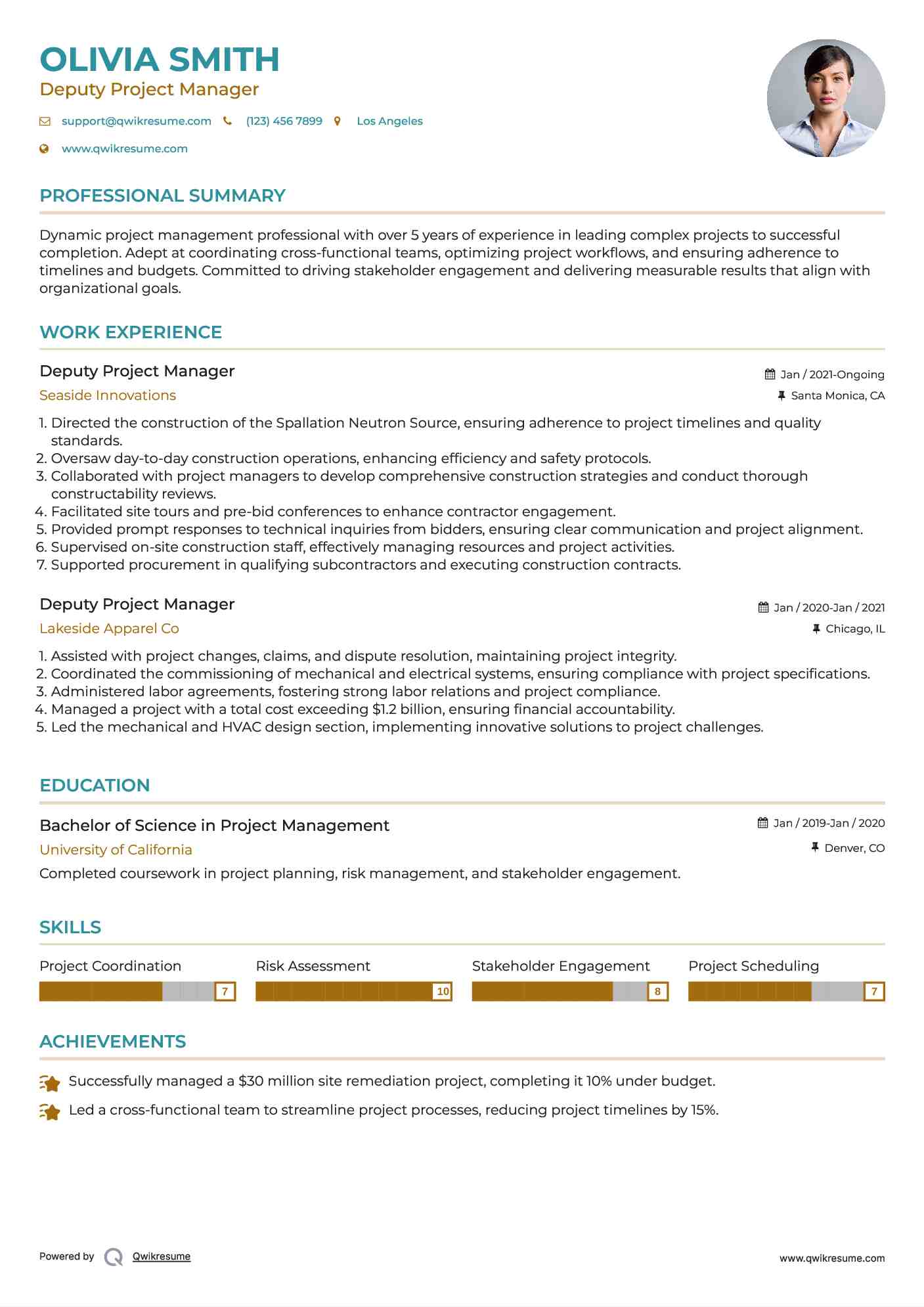 Deputy Project Manager Resume Template