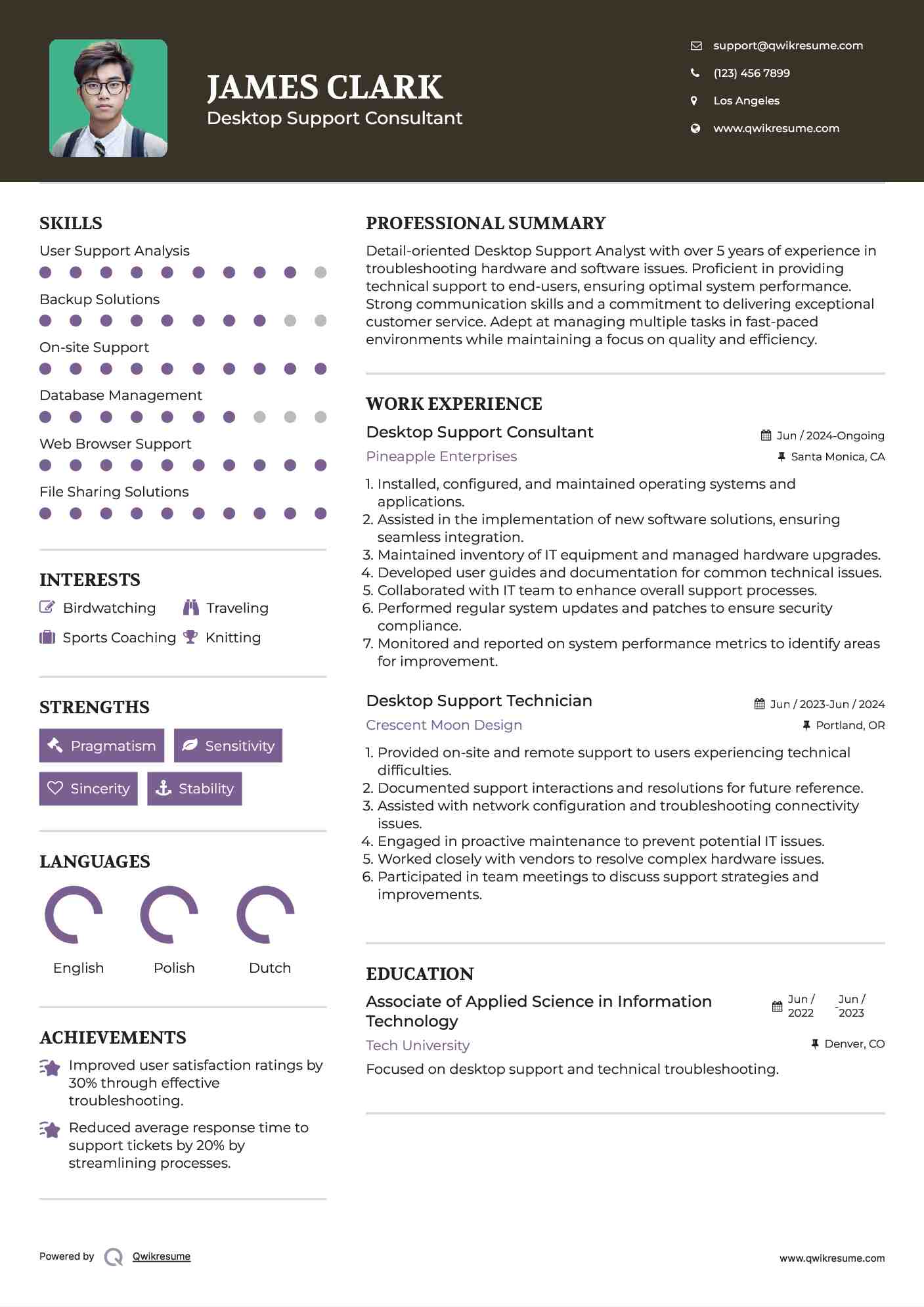 Desktop Support Consultant Resume Template