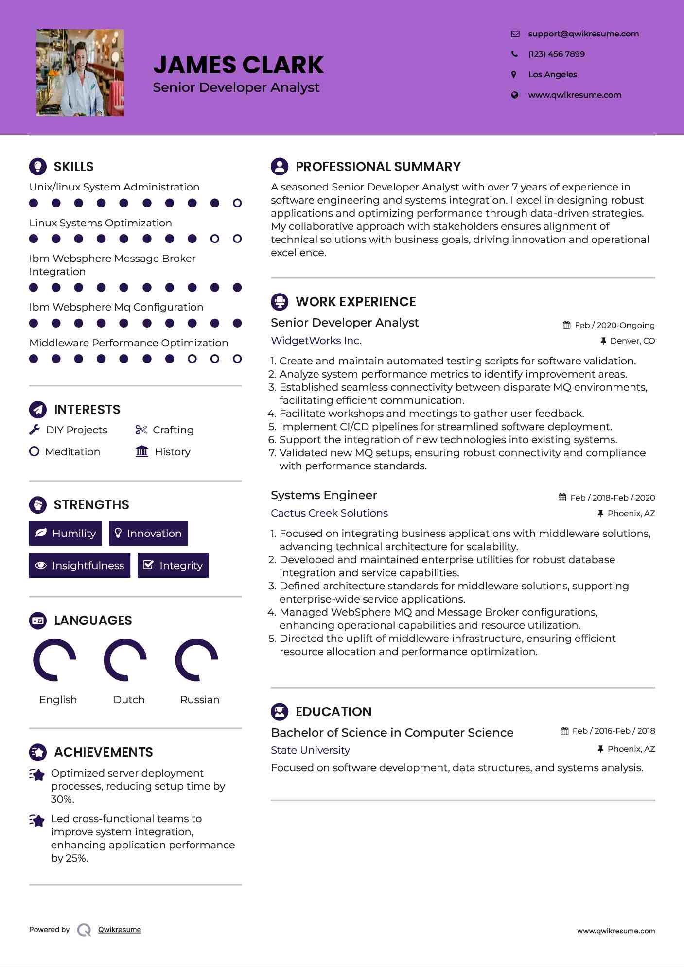 Senior Developer Analyst Resume Model