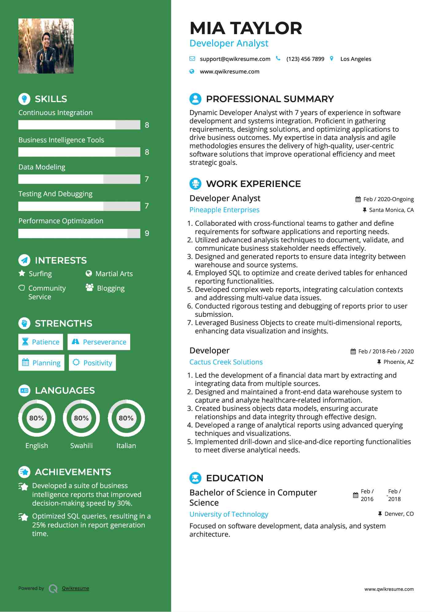 Developer Analyst Resume Template