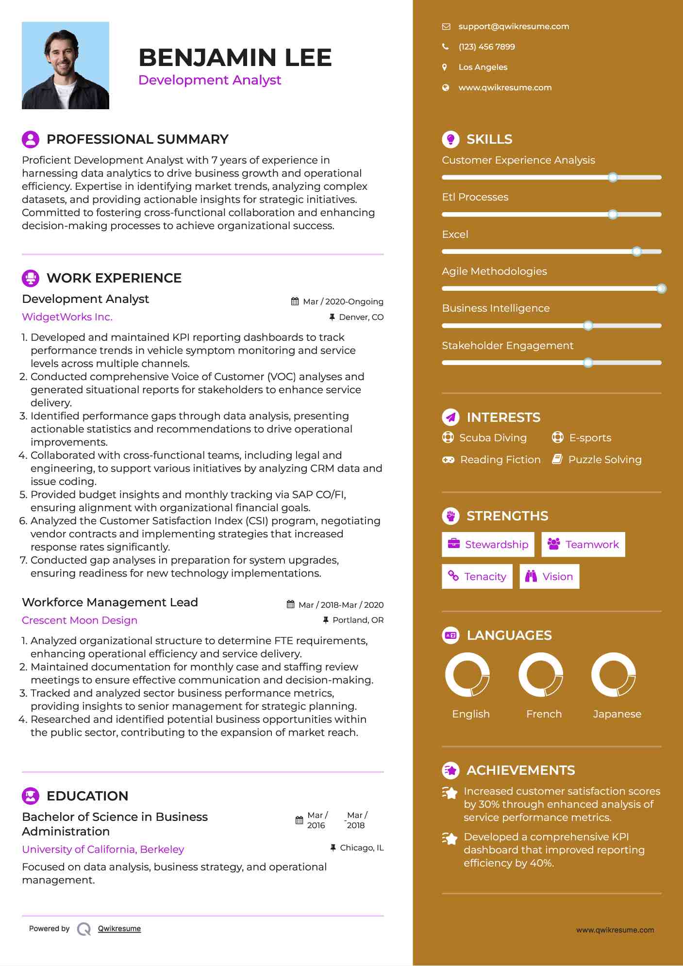 Development Analyst Resume Example
