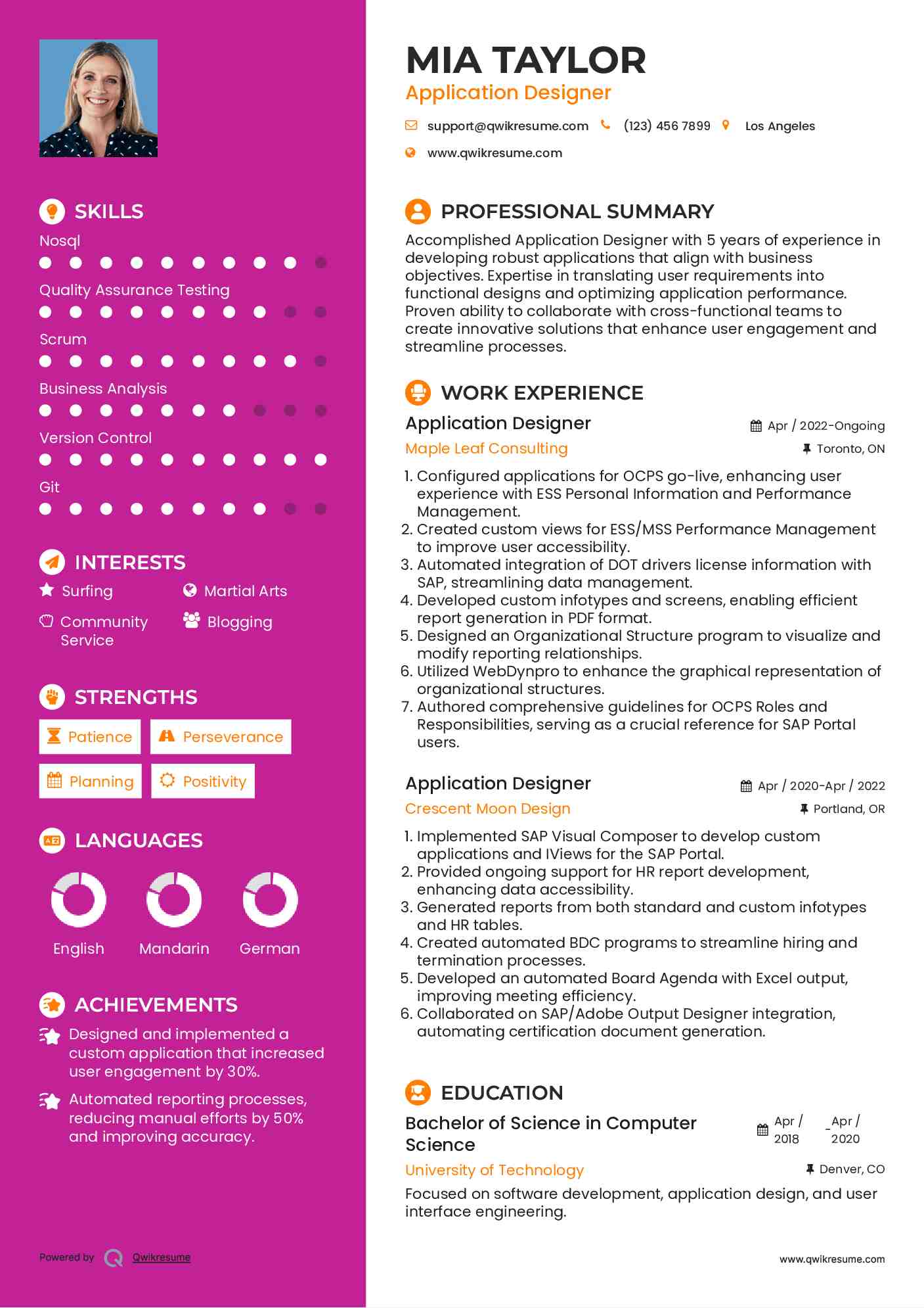Application Designer Resume Model
