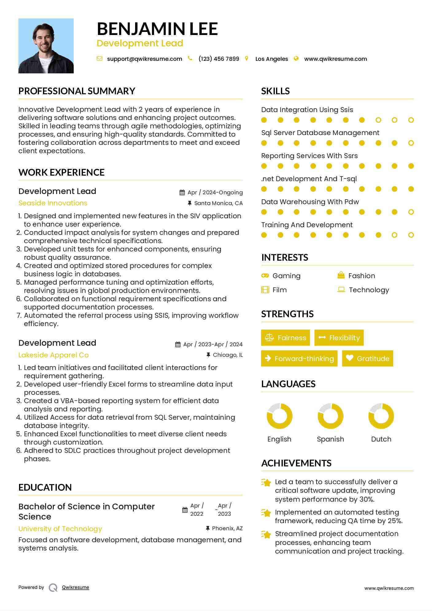 Development Lead Resume Example