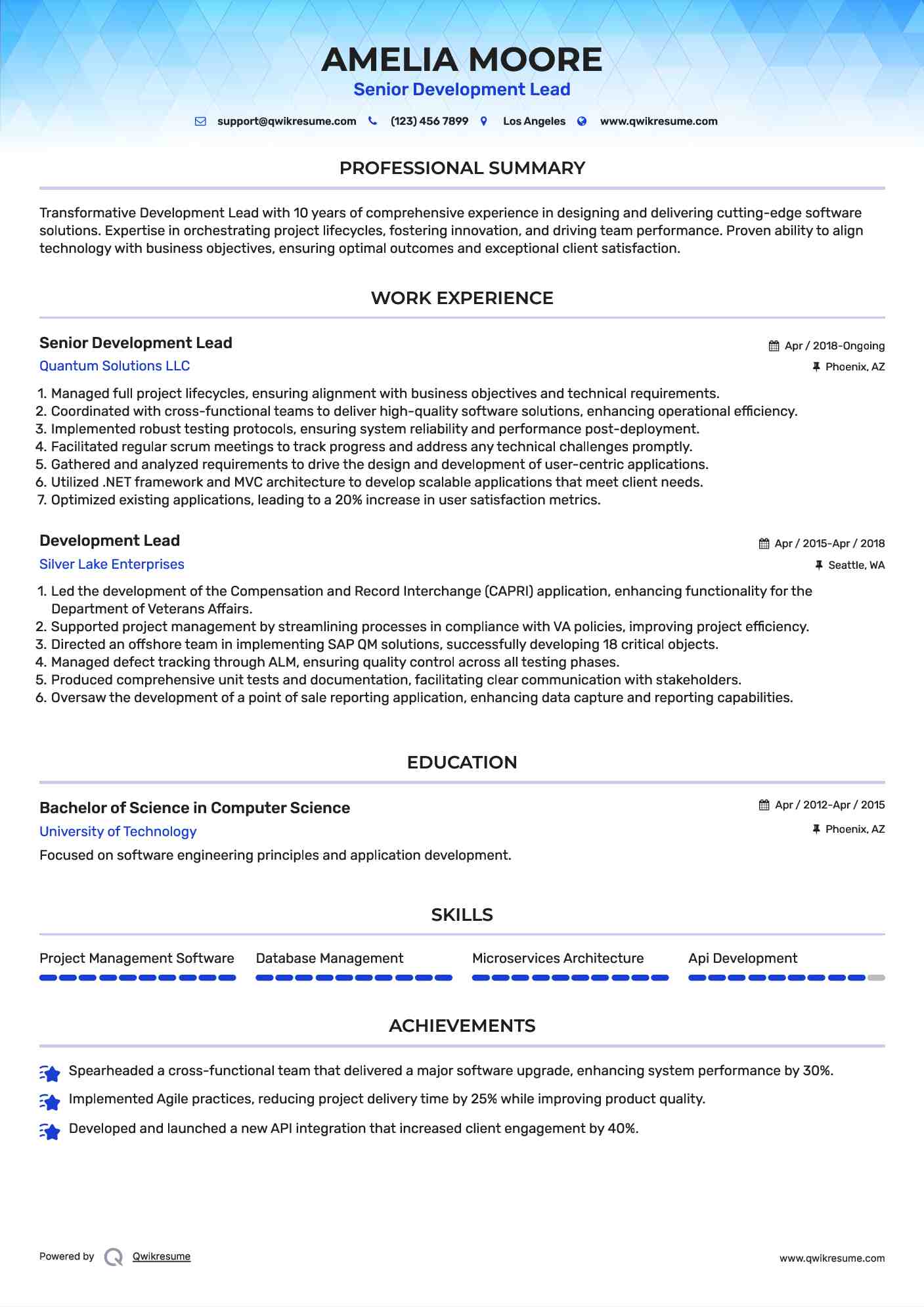 Senior Development Lead Resume Model