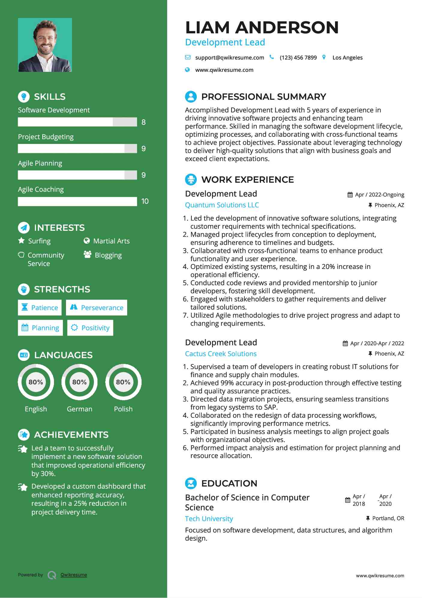 Development Lead Resume Sample