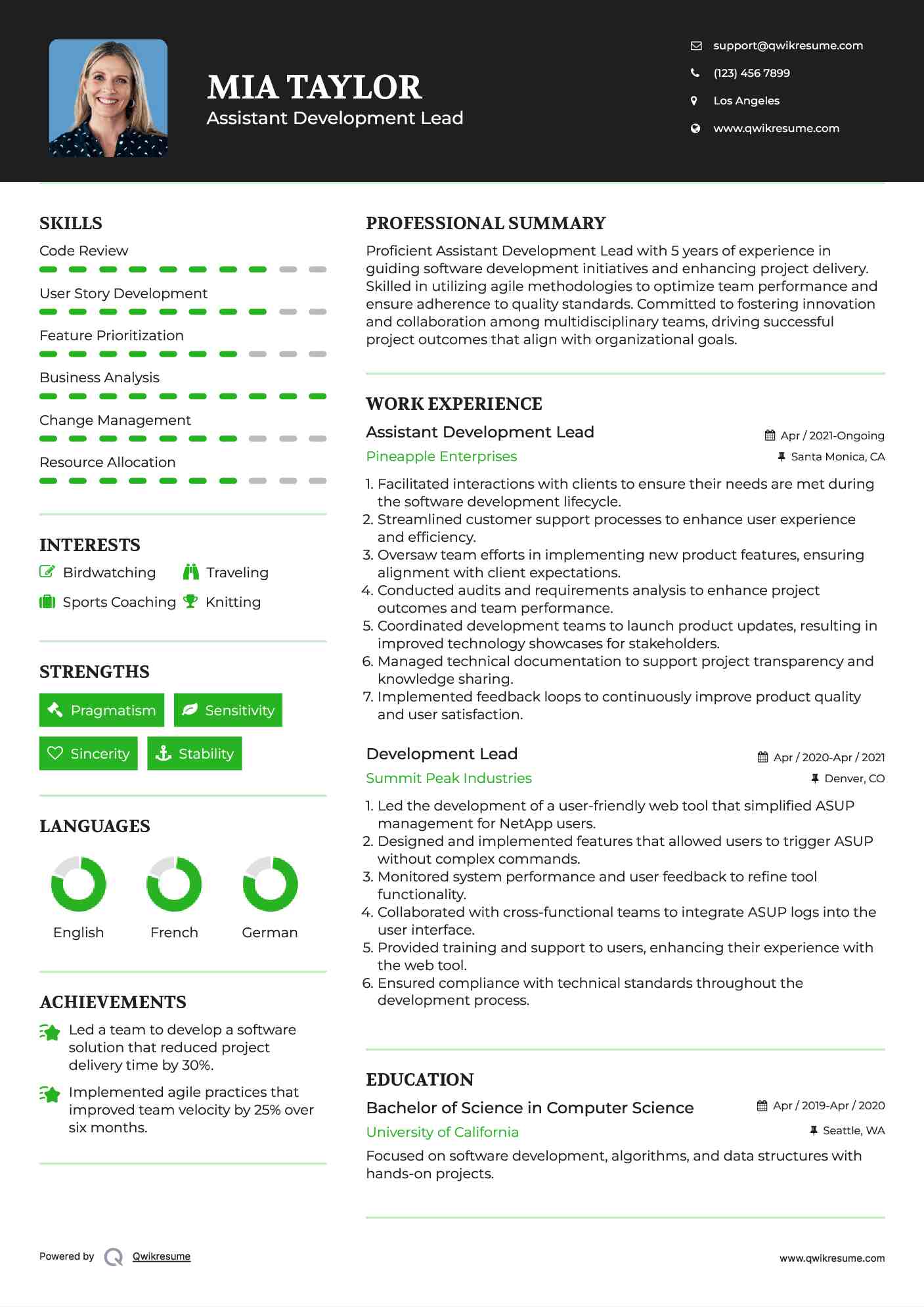 Assistant Development Lead Resume Template