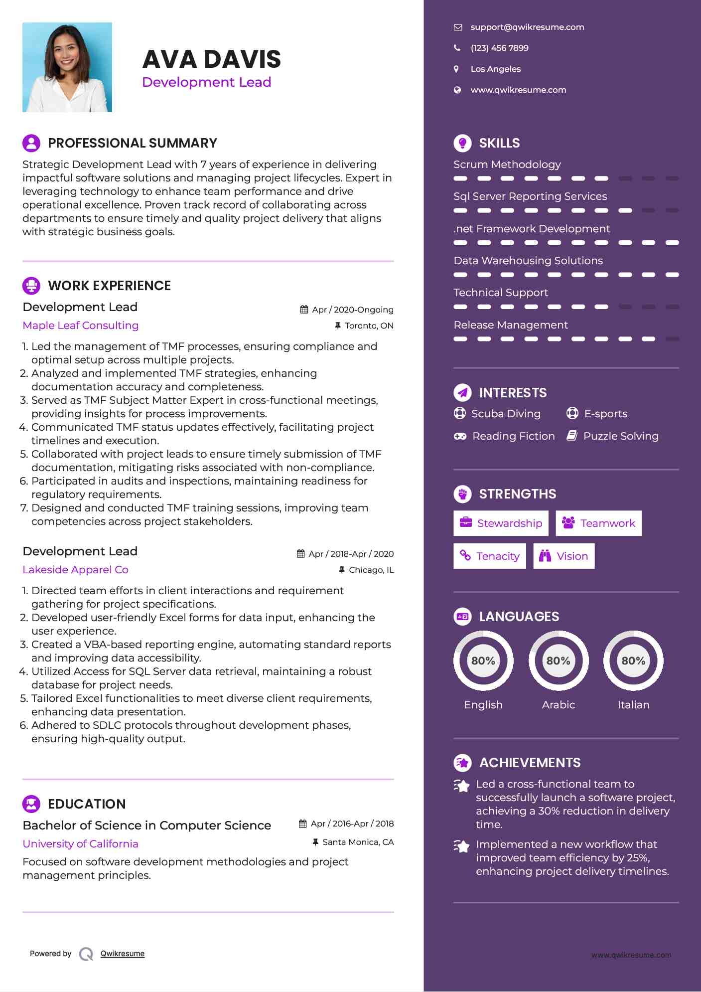 Development Lead Resume Example