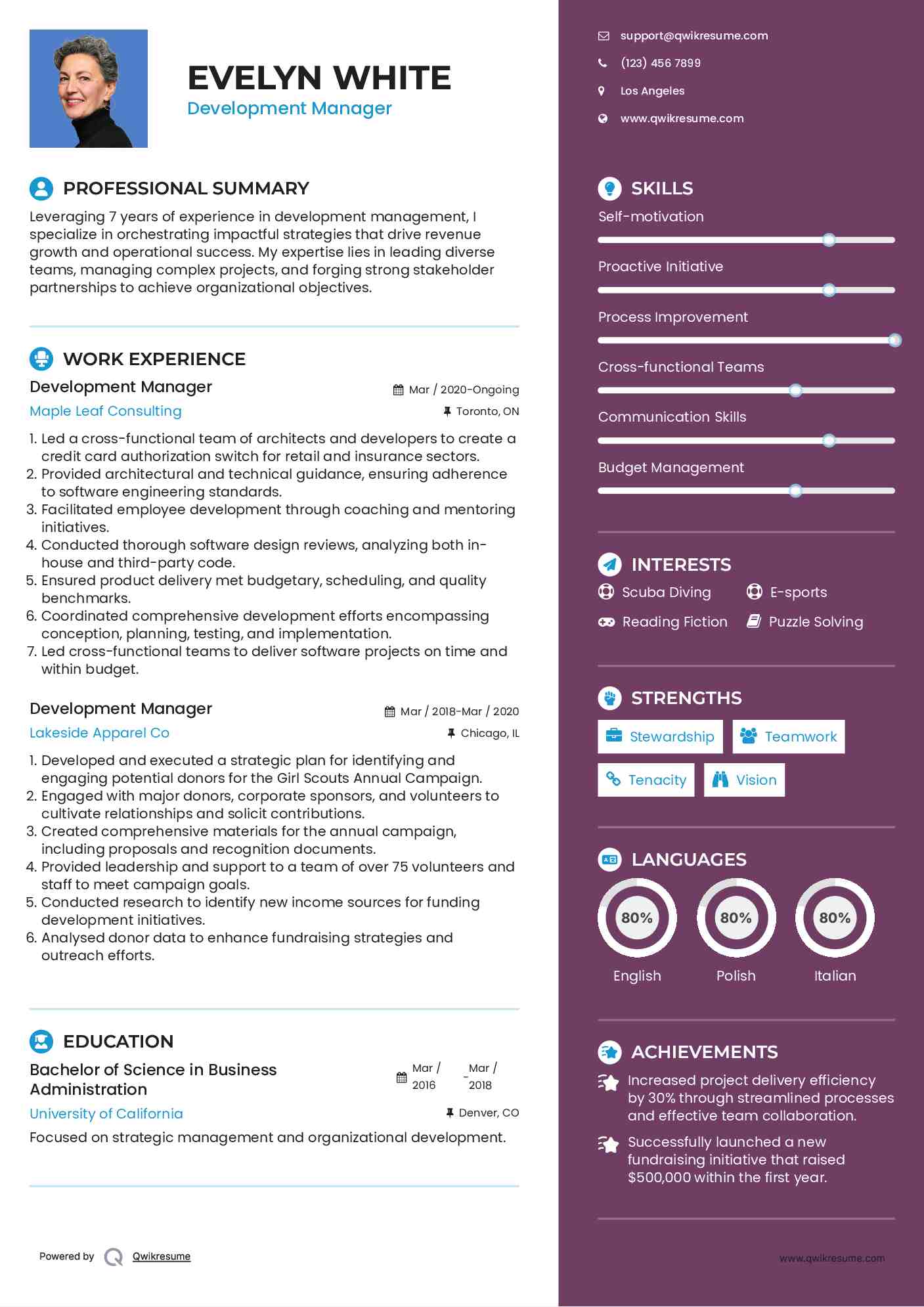 Development Manager Resume Format