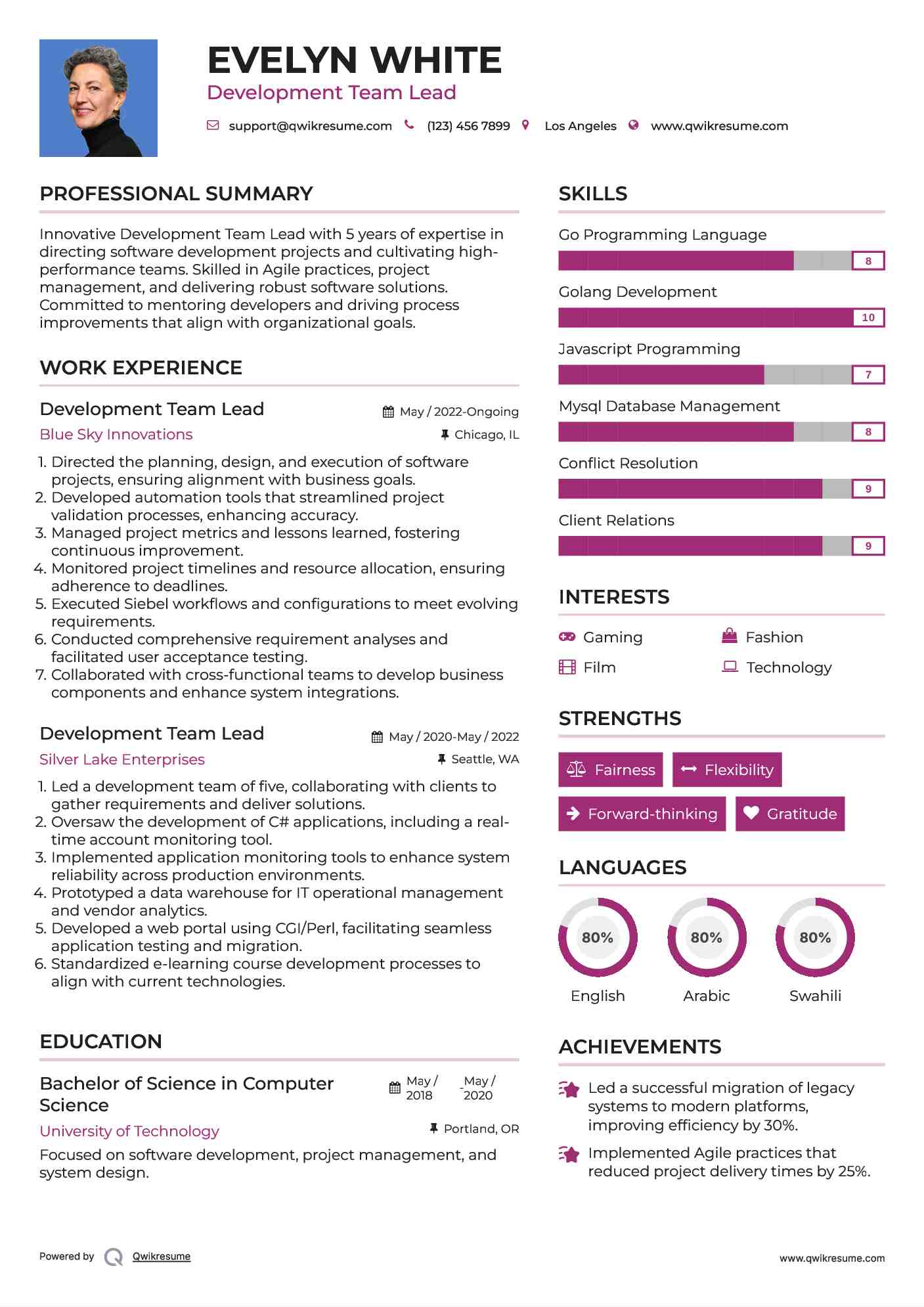 Development Team Lead Resume Example