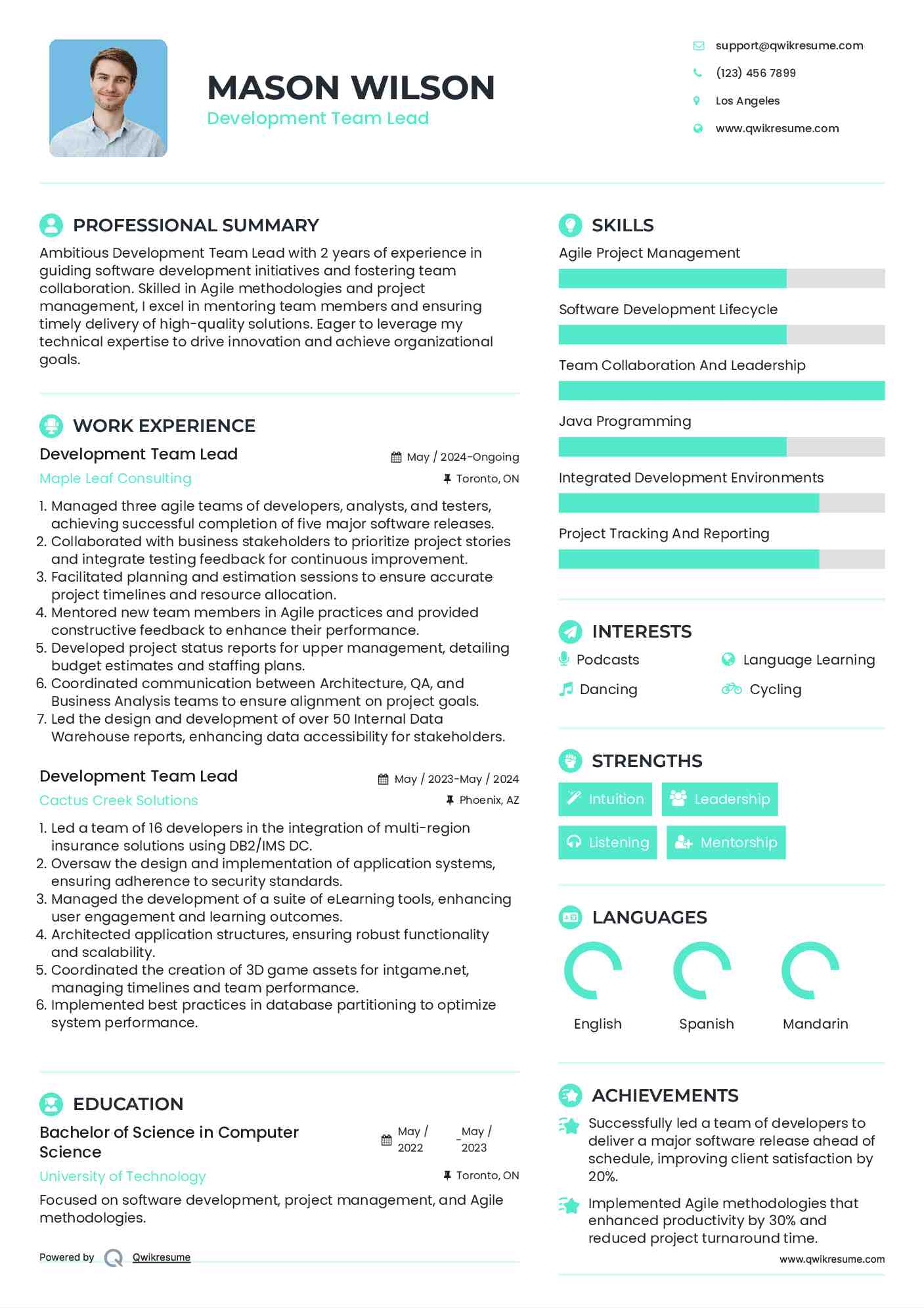Development Team Lead Resume Sample