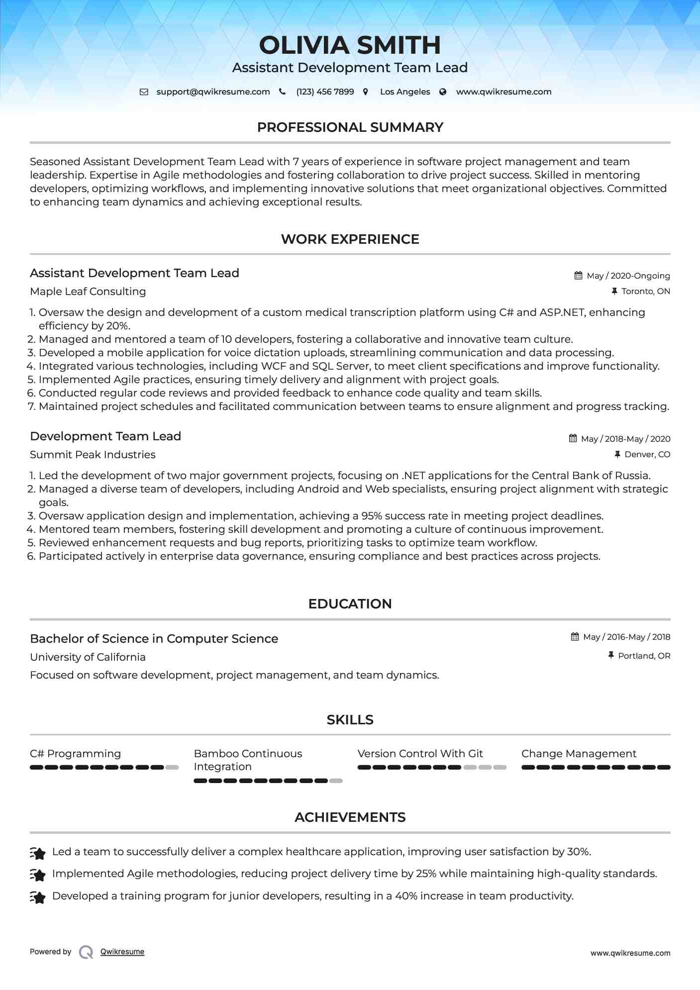Assistant Development Team Lead Resume Template